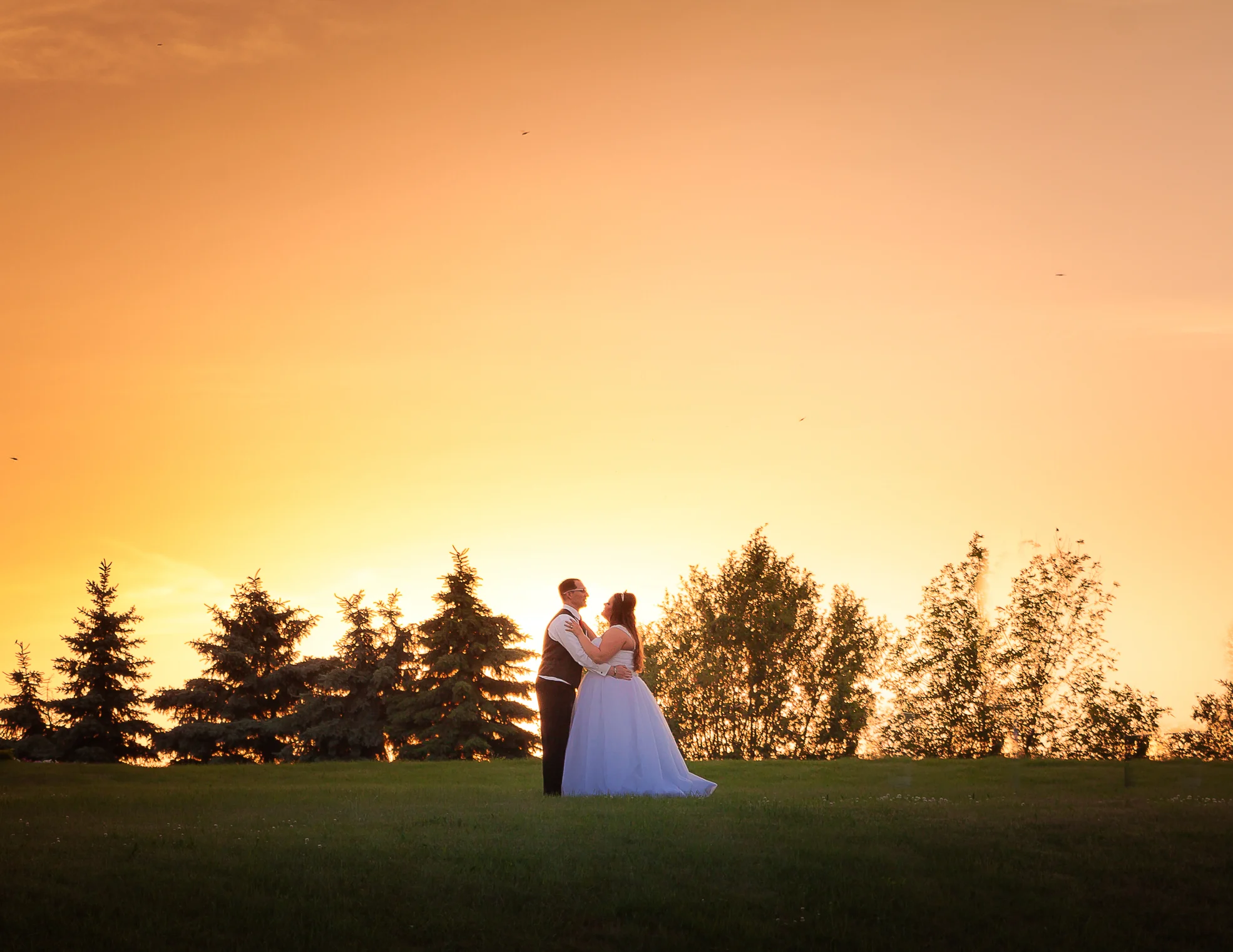 Wedding: Tony + Jenna Balistreri