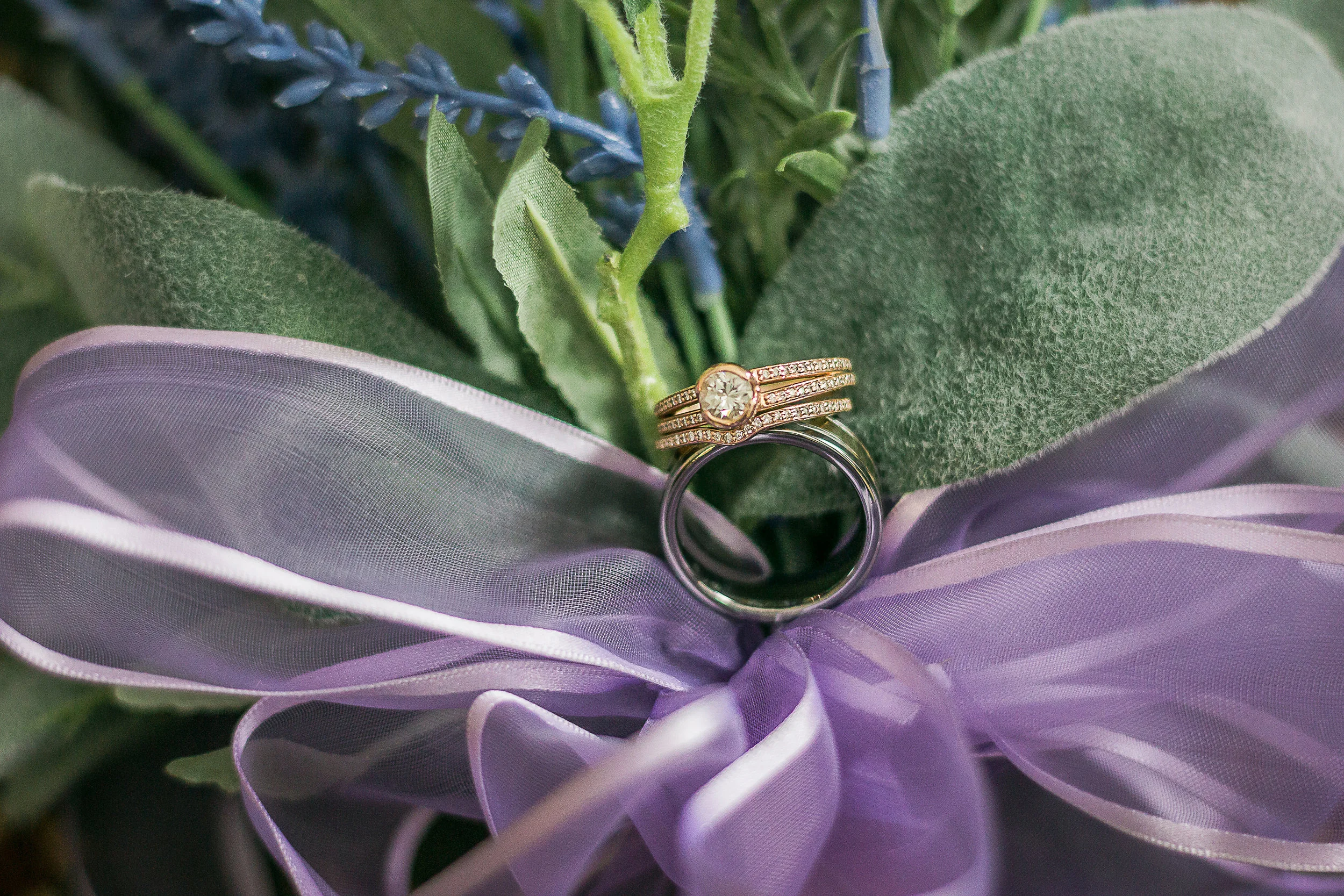 Welcome It's the Berk & Jay Show3.jpg