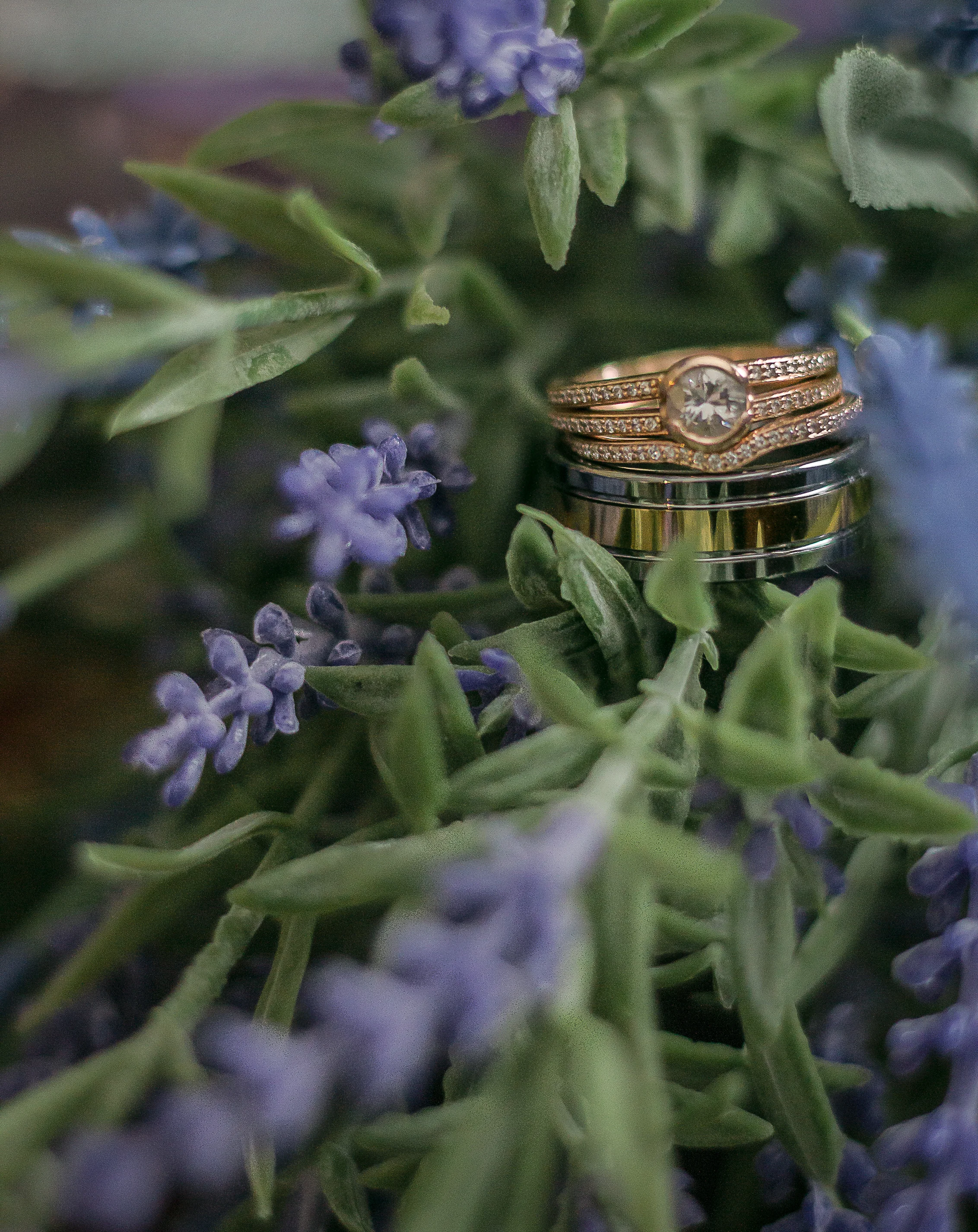 Welcome It's the Berk & Jay Show192.jpg