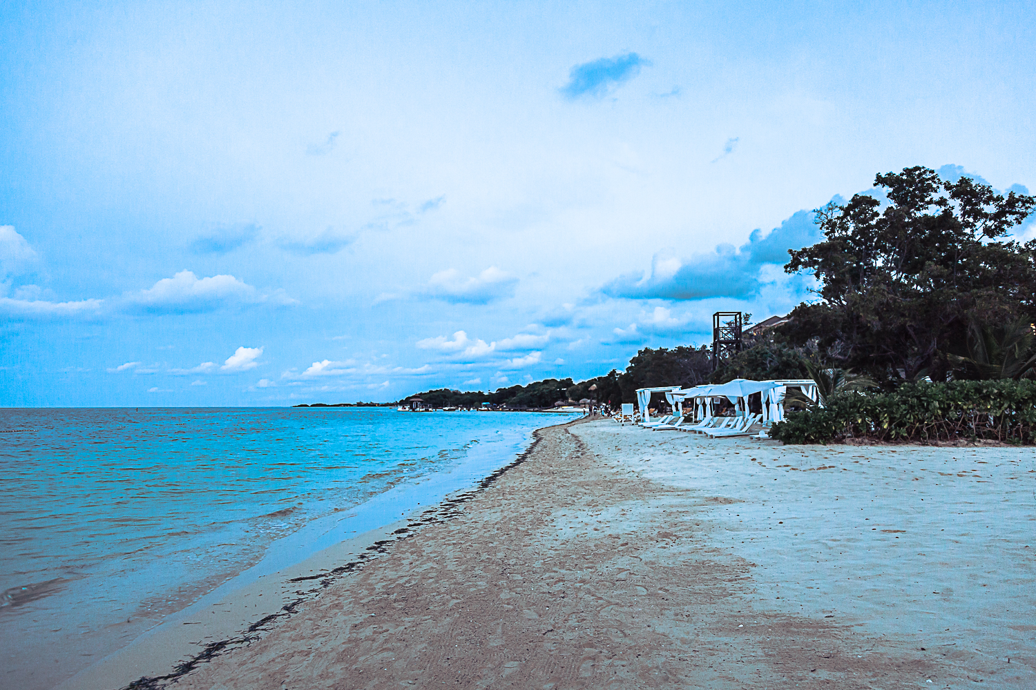 FormalPortrait (508 of 662).jpg