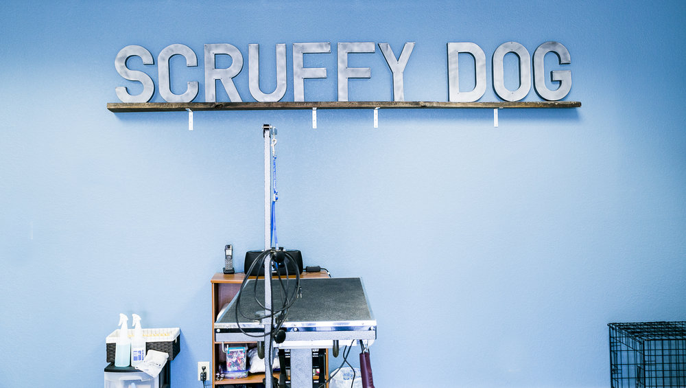 Scruffy Dog (50 of 52).jpg