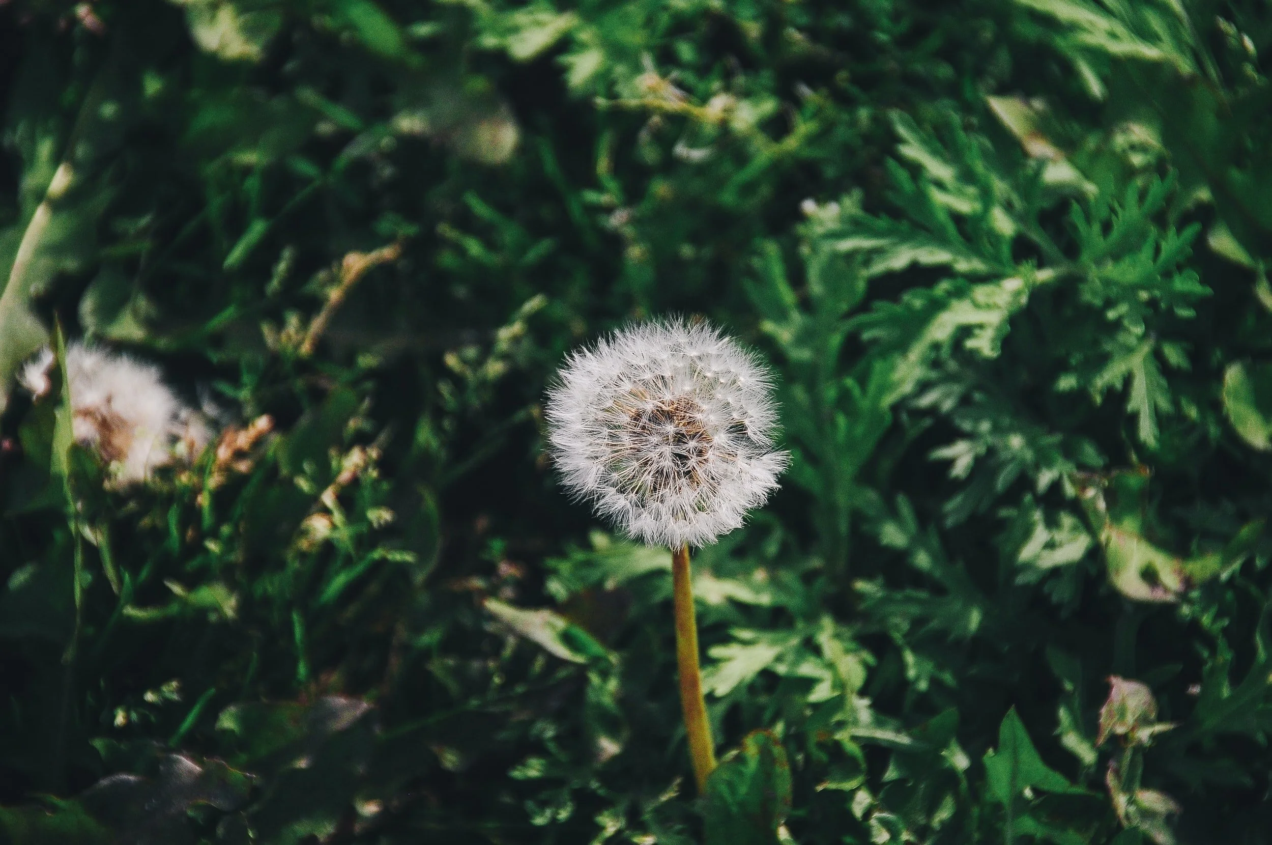 unsplash-image-1a76nJrO8eI.jpg