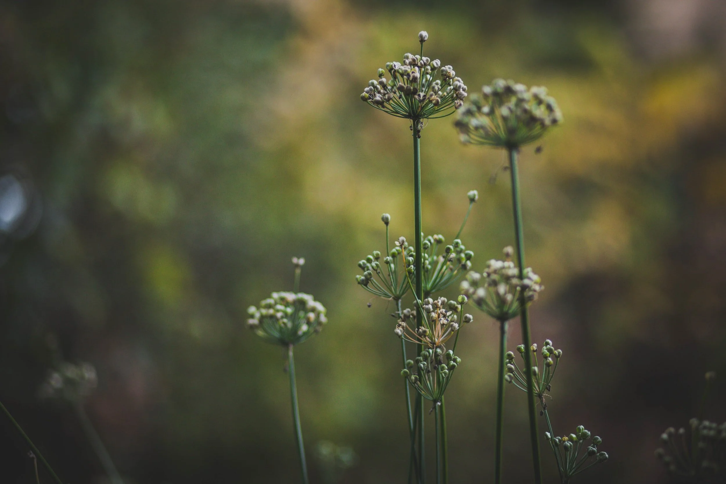 unsplash-image-luYQYrNFCcc.jpg