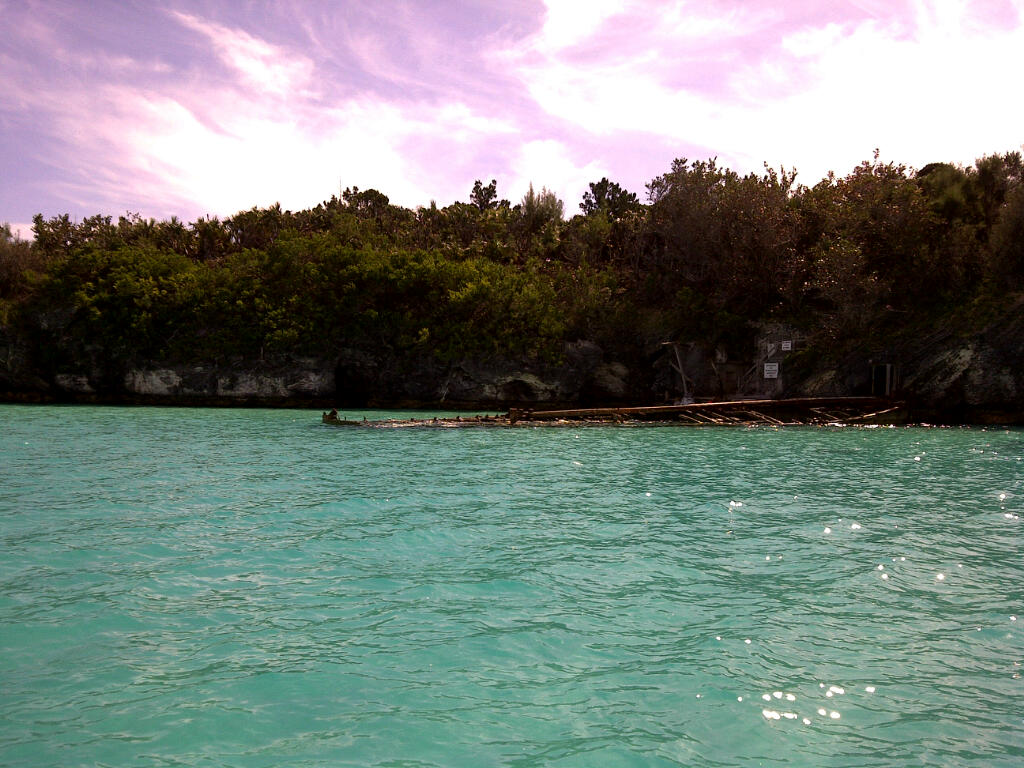 Nonsuch Island