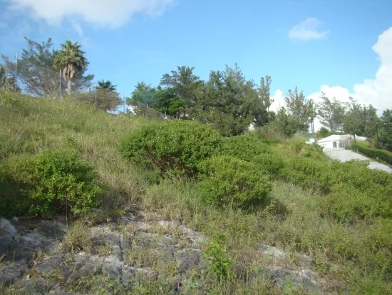 north side of the site