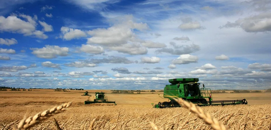 Source: Allam Farms Partnership