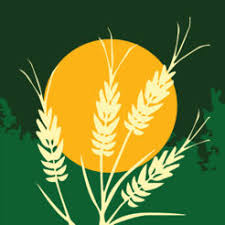 Young legislators launch Millennial caucus