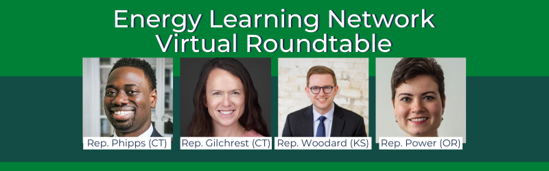 Energy Learning Network Virtual Roundtable