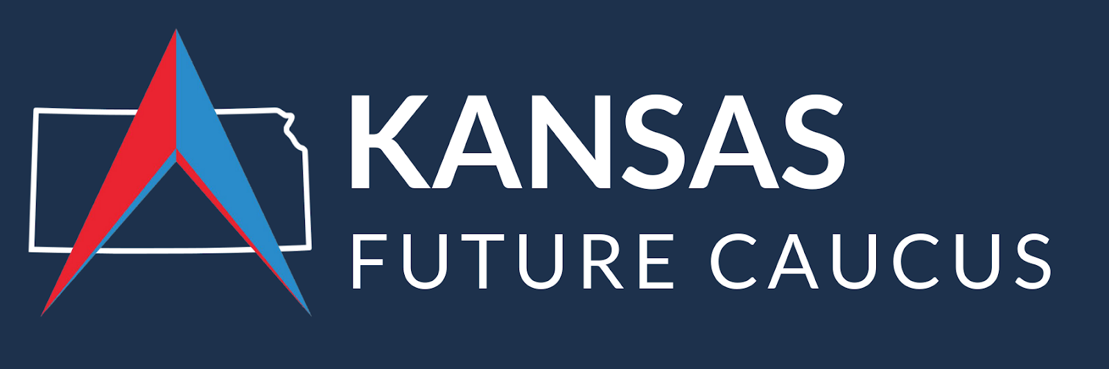 “Millennials in Public Service” Panel with Kansas Leadership Center