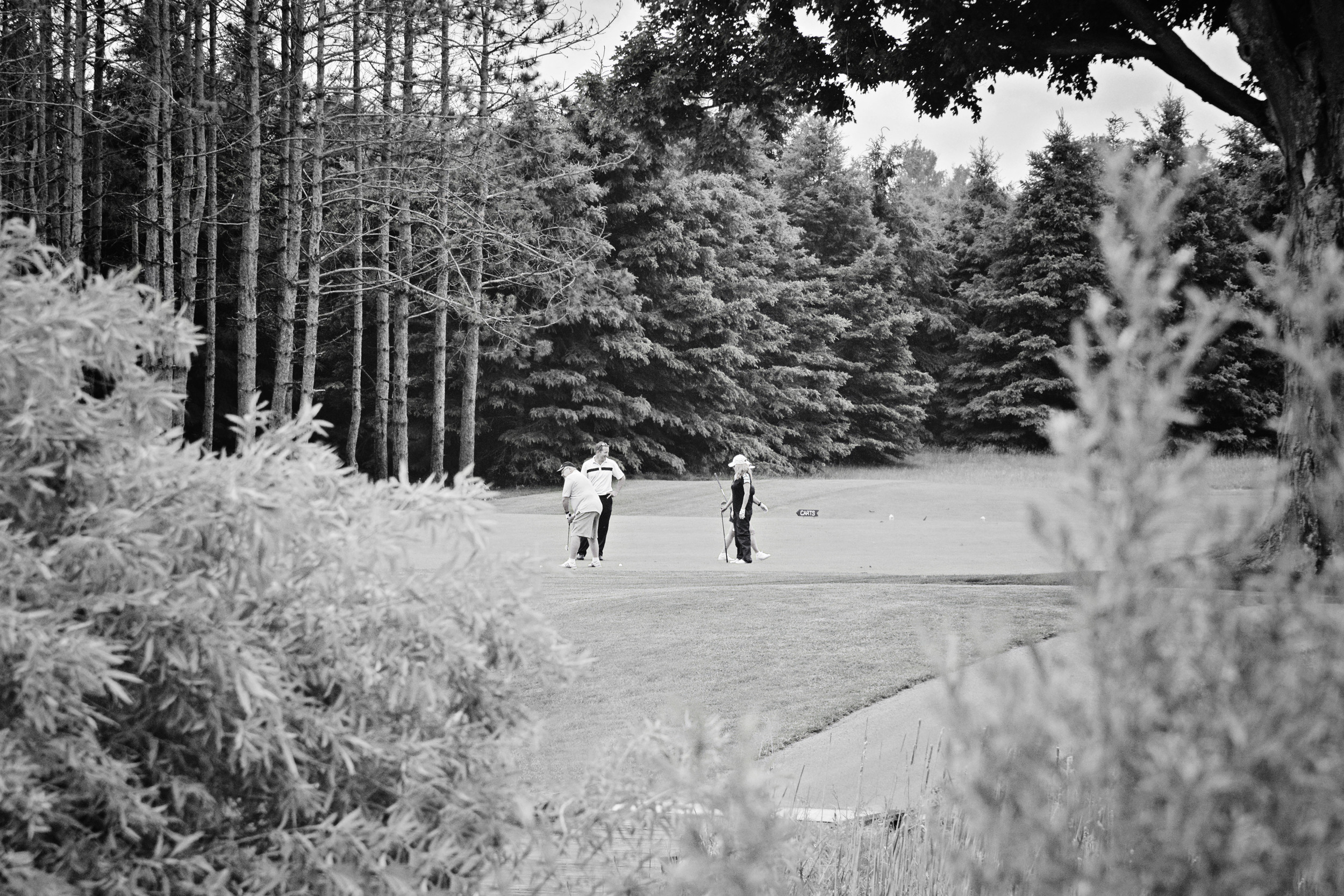DSC_1716v2.jpg