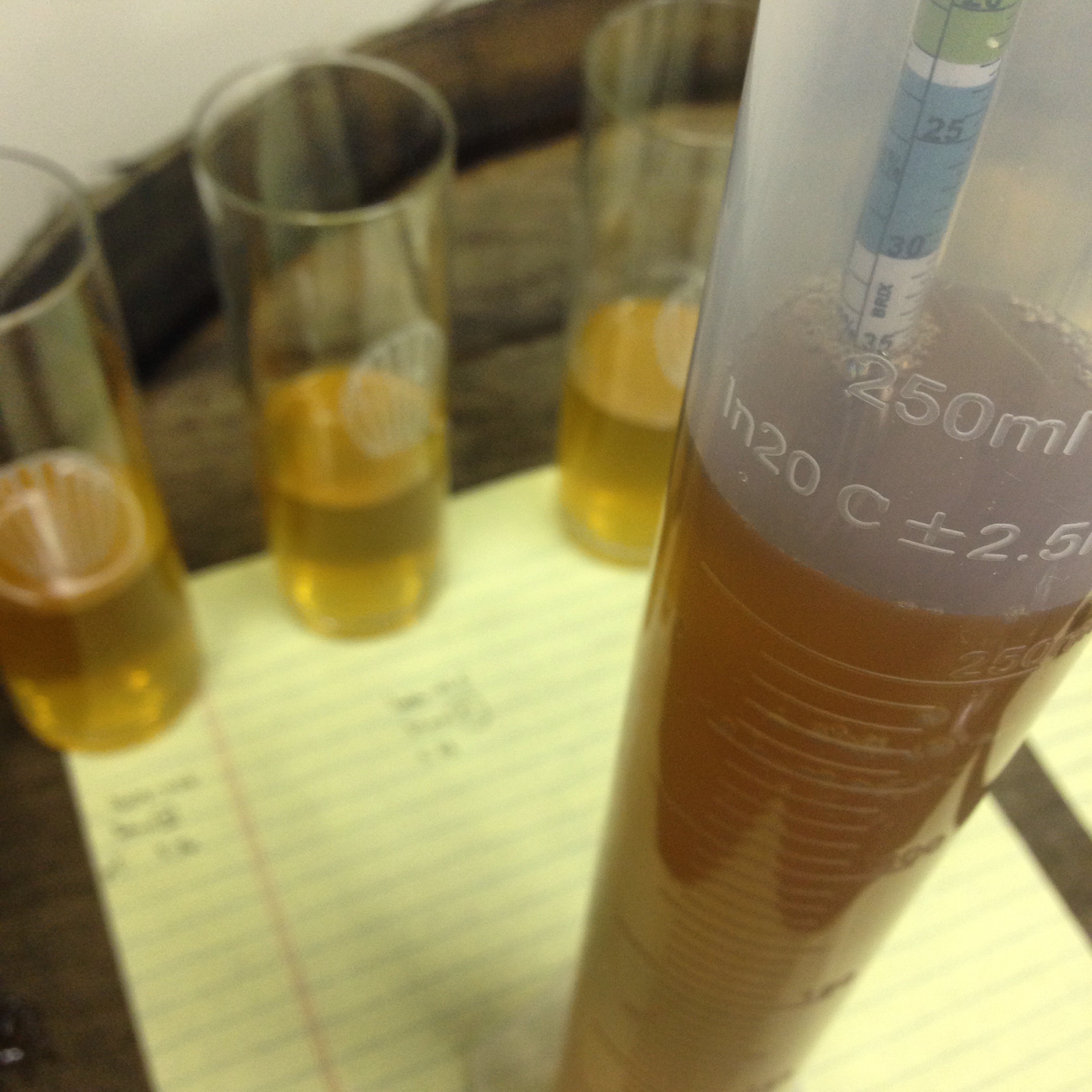 Testing the enormous gravity of the riesling ice wine juice and blending proportionally