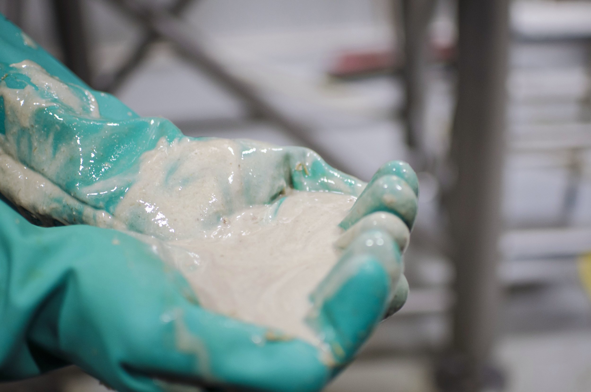 The mystery of the mash tun milk slime. We have performed over 35 turbid mashes by now, and never encountered anything quite like this. After a careful examination of the spelt hulls in the spent grain, this has been dubbed the result from the "spelt-hay interaction" completely non-scientifically.