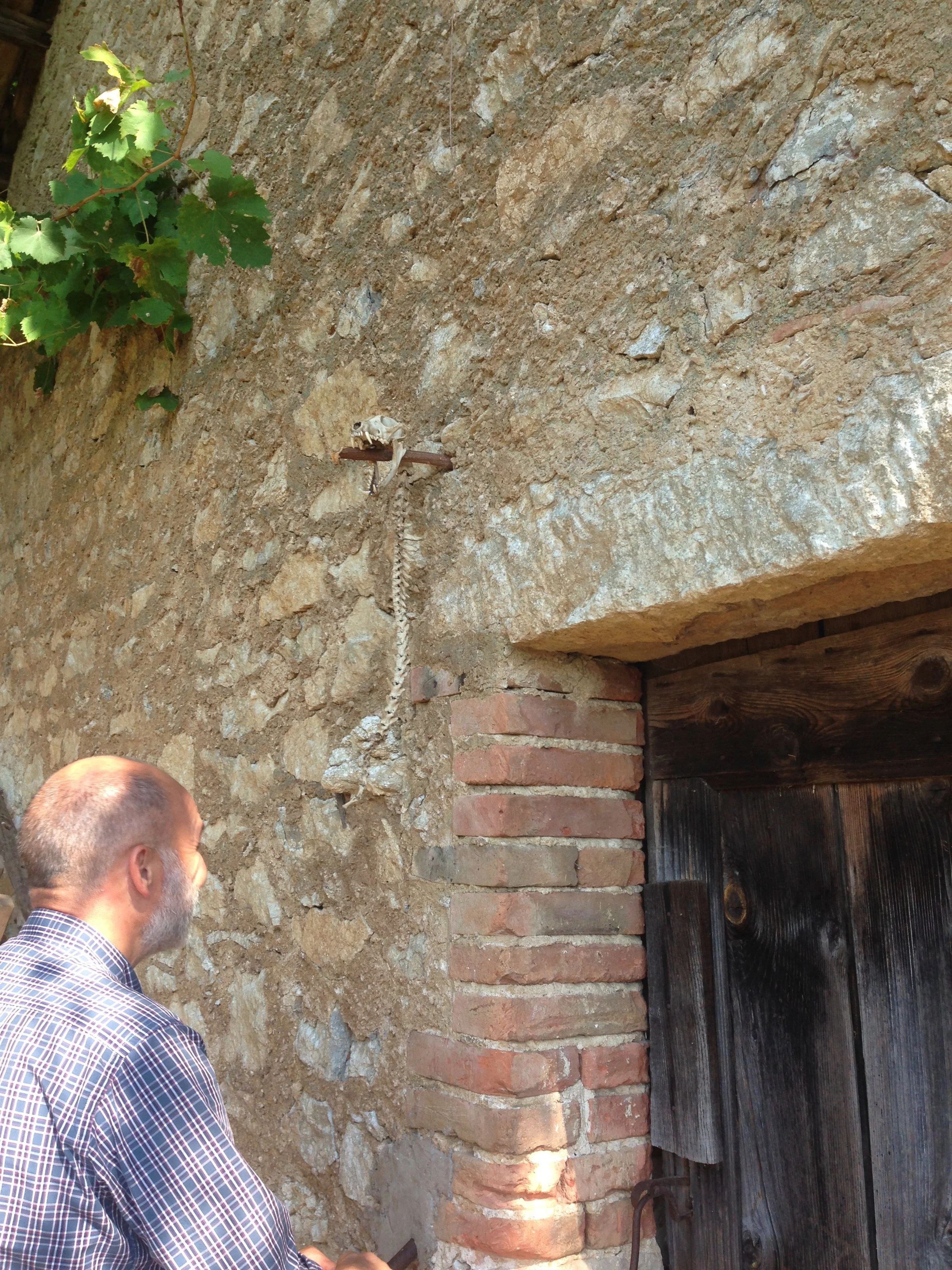 "We found this cleaning up the vineyard. It's a totem, maybe."