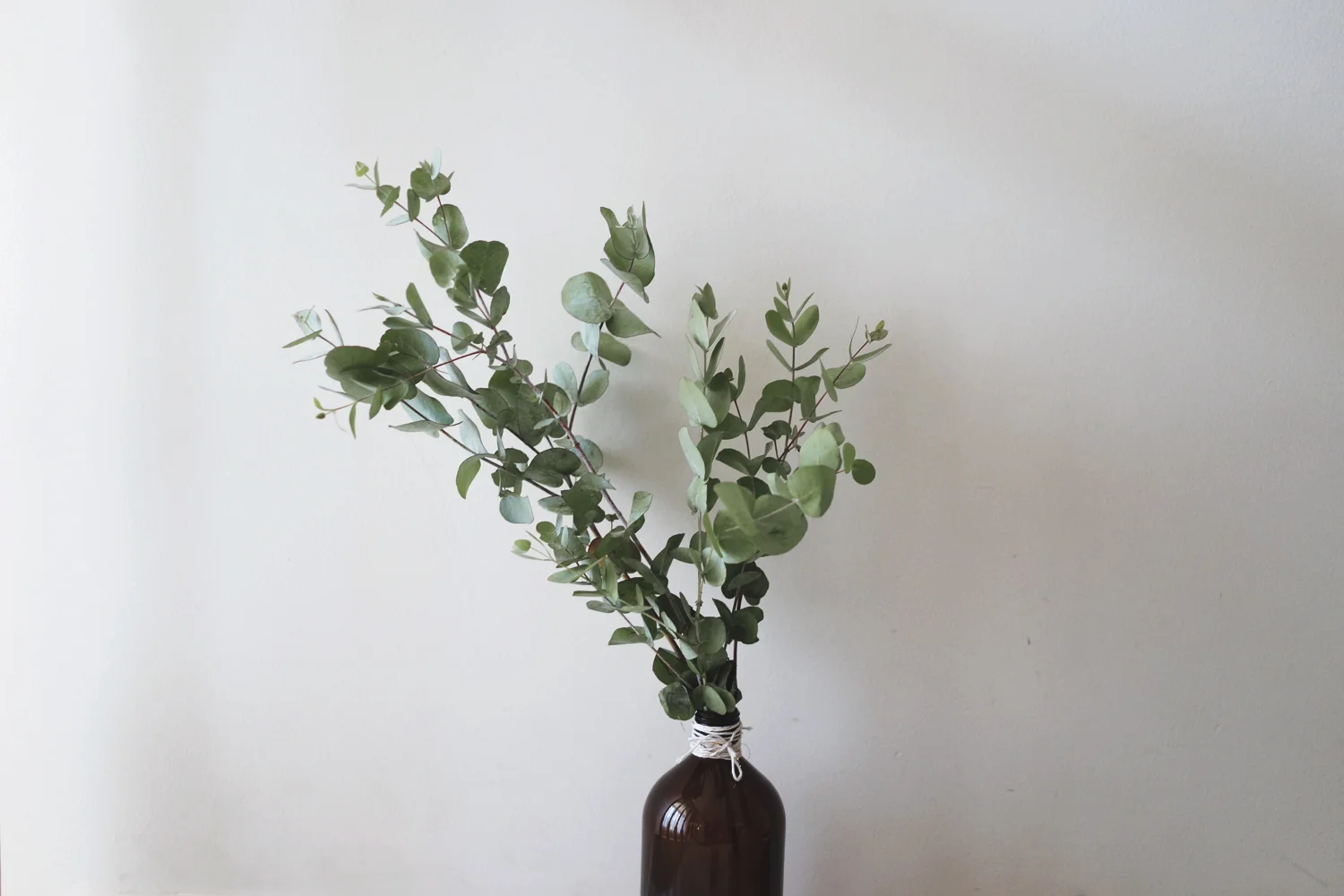 let's talk: being brave with change