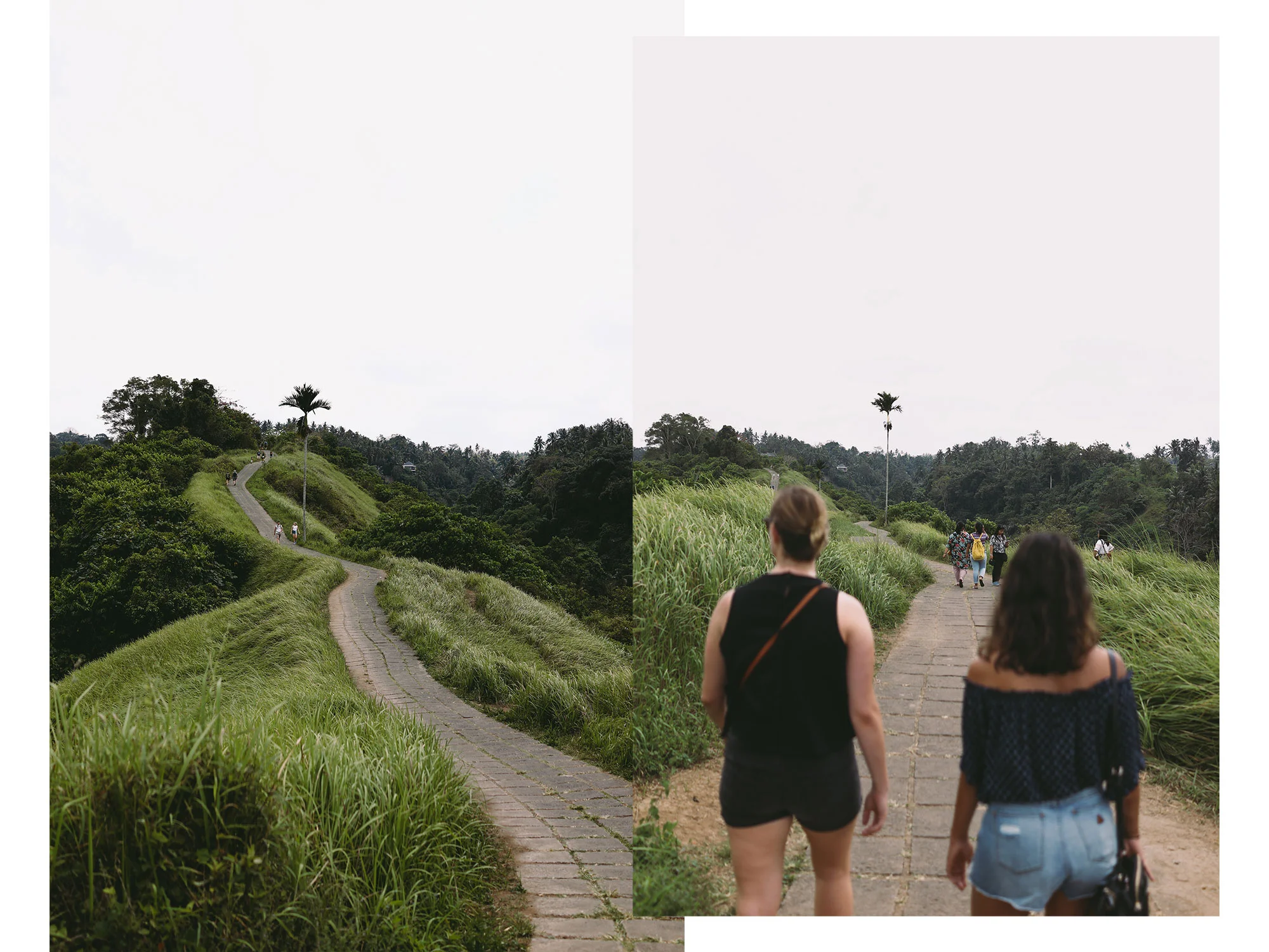 Campuhan Ridge Walk
