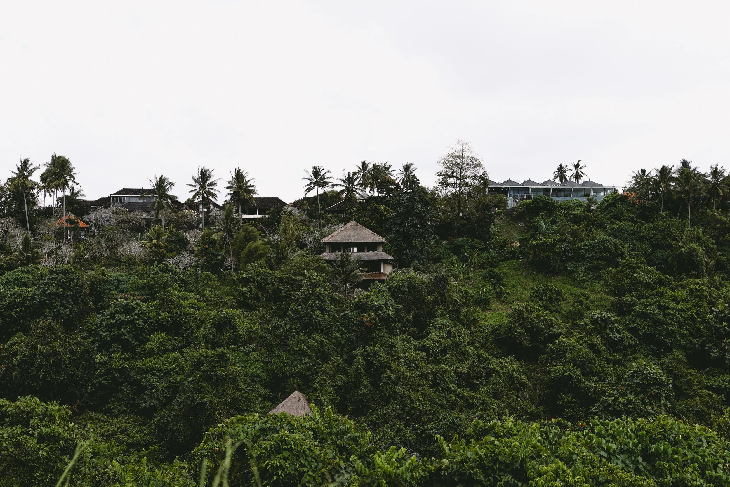 Views along Campuhan Ridge Walk