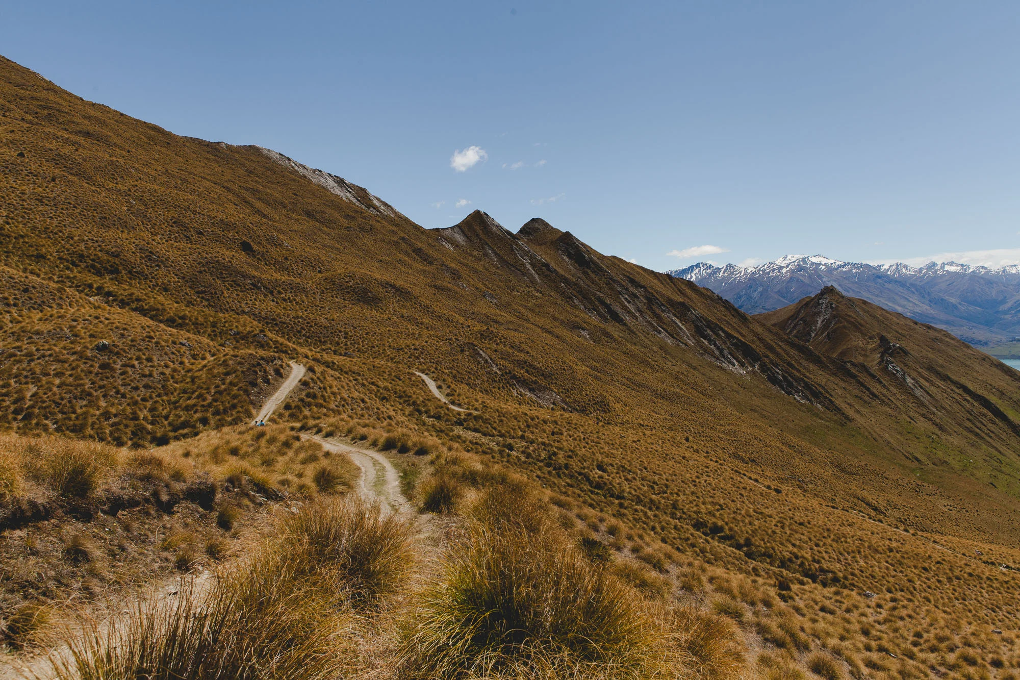 Spot the hikers