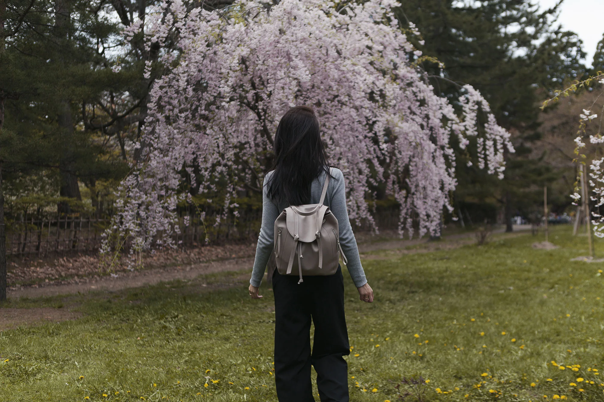 6-things-to-do-aomori-hirosaki-park-jysla-kay.jpg