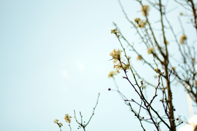 i hope you make the best of it.