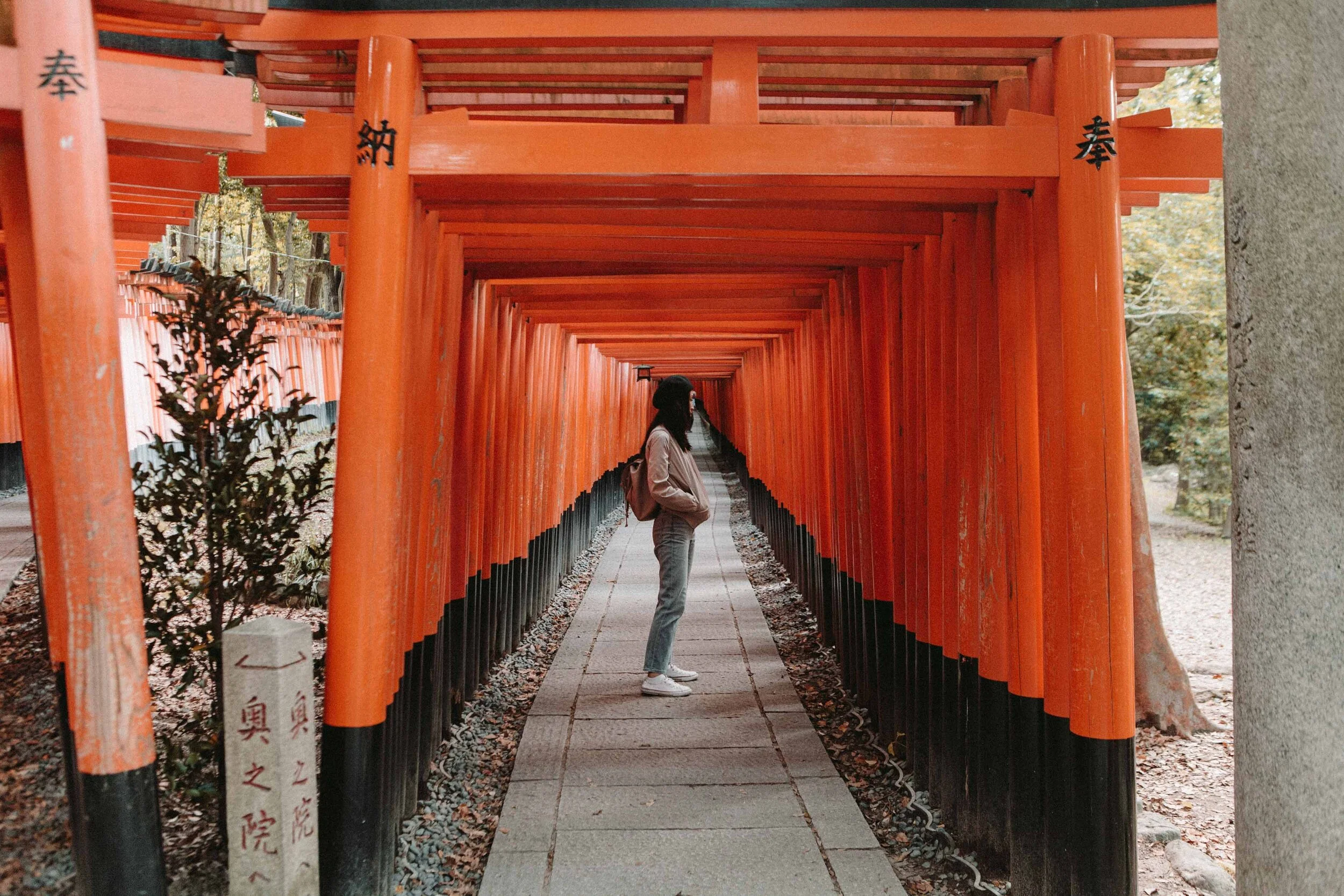 A Thousand Torii Gates - Fushimi Inari Shrine, Japan