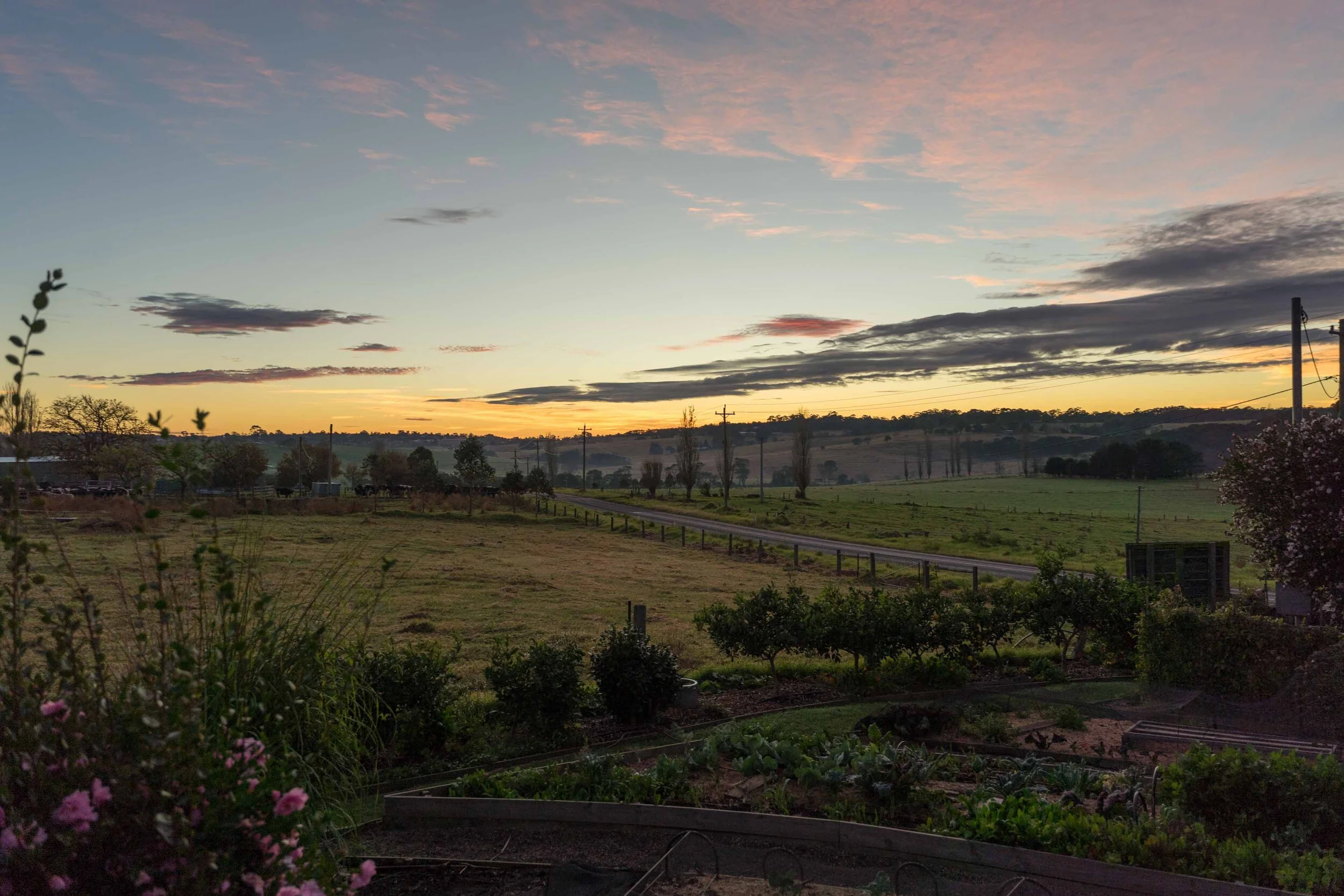 2500_DSC09867 (1).jpg