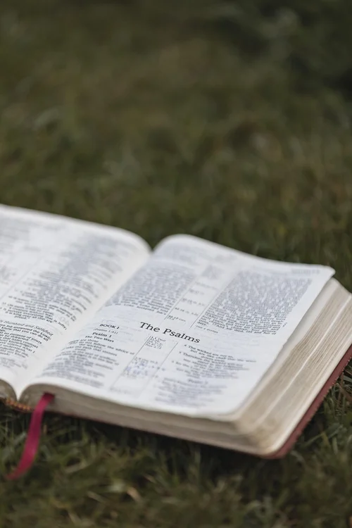 An open Bible displaying the Psalms outdoors.