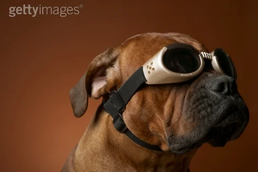 Photo by Chris Amaral/Digital Vision / Getty Images