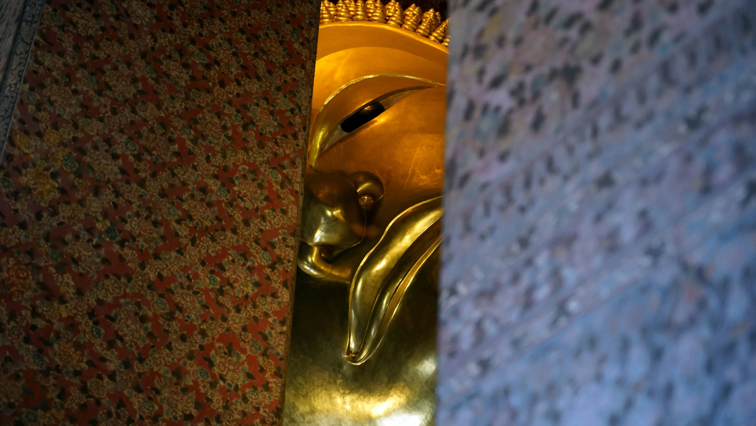 DSC09509.JPG