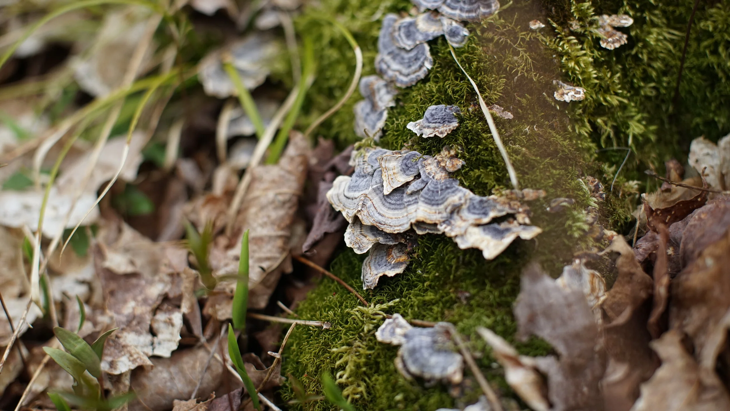 DSC02860.JPG