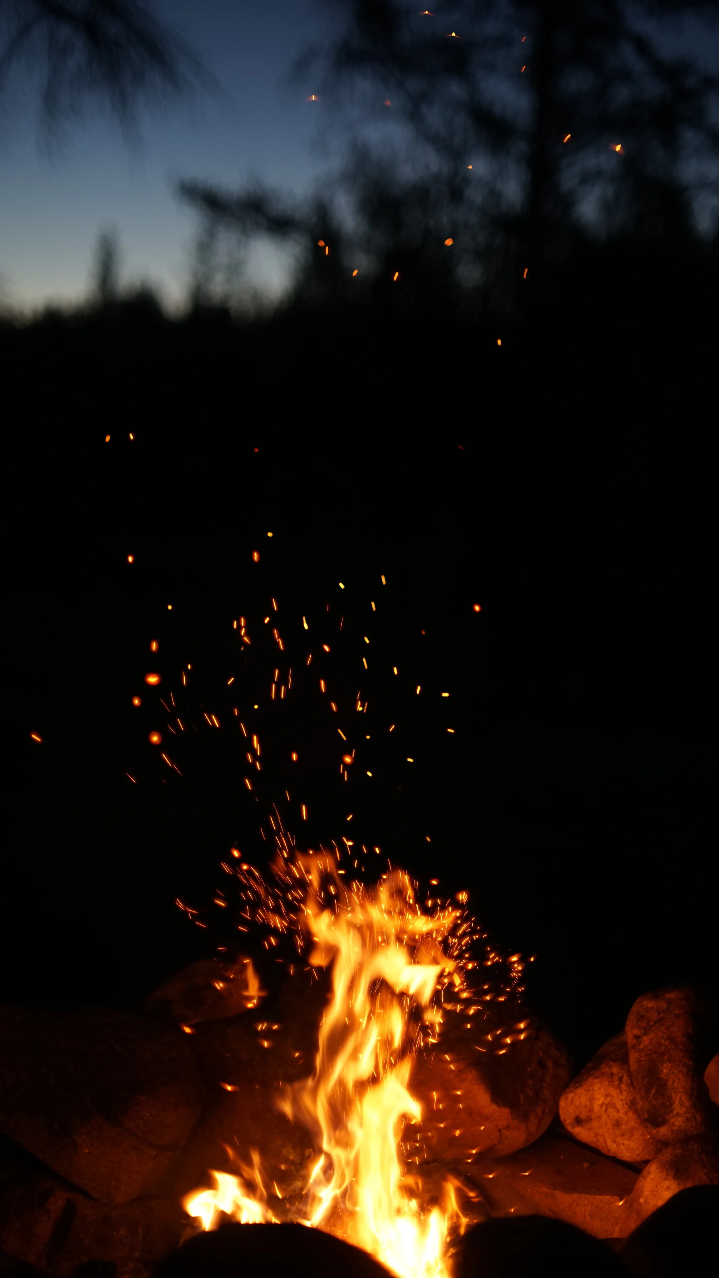 DSC03411.JPG
