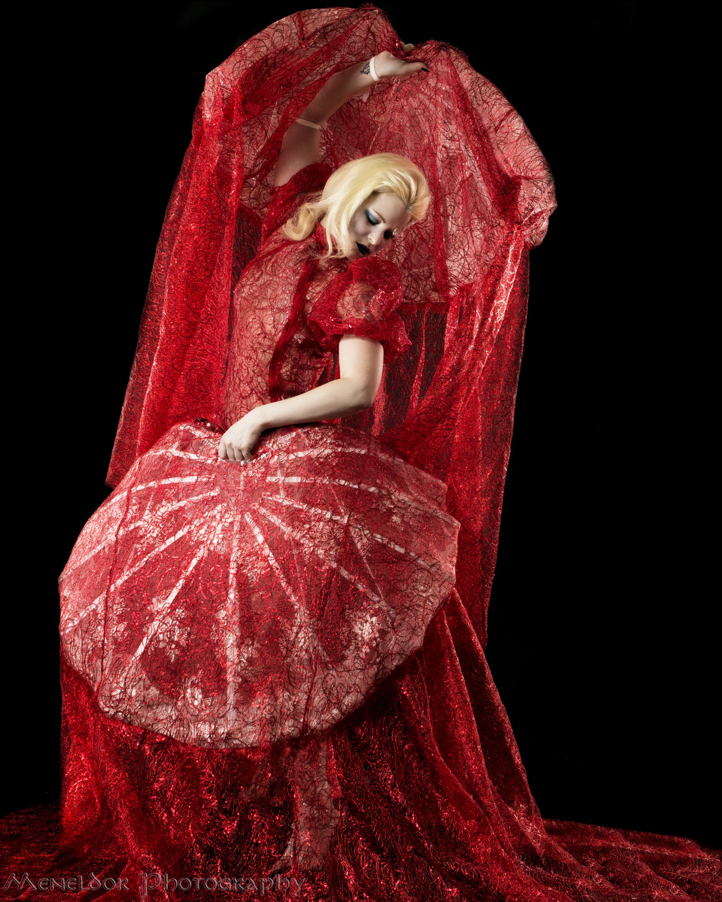295 Hi Res WM.jpg