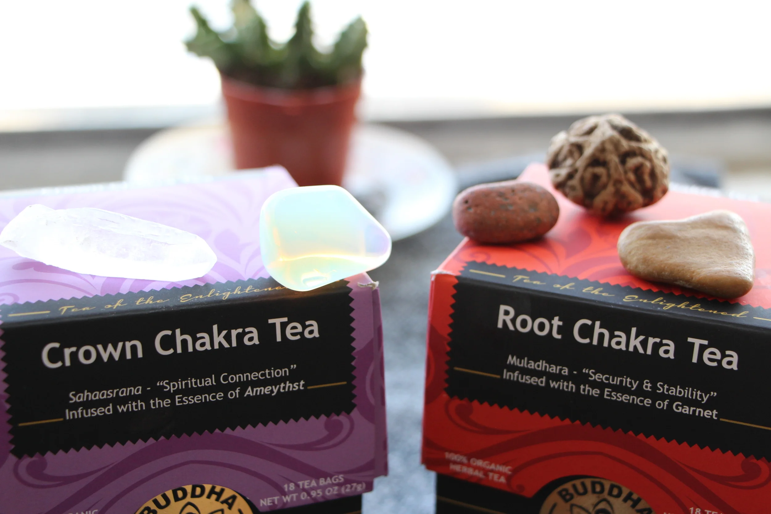 Buddha Teas Review  