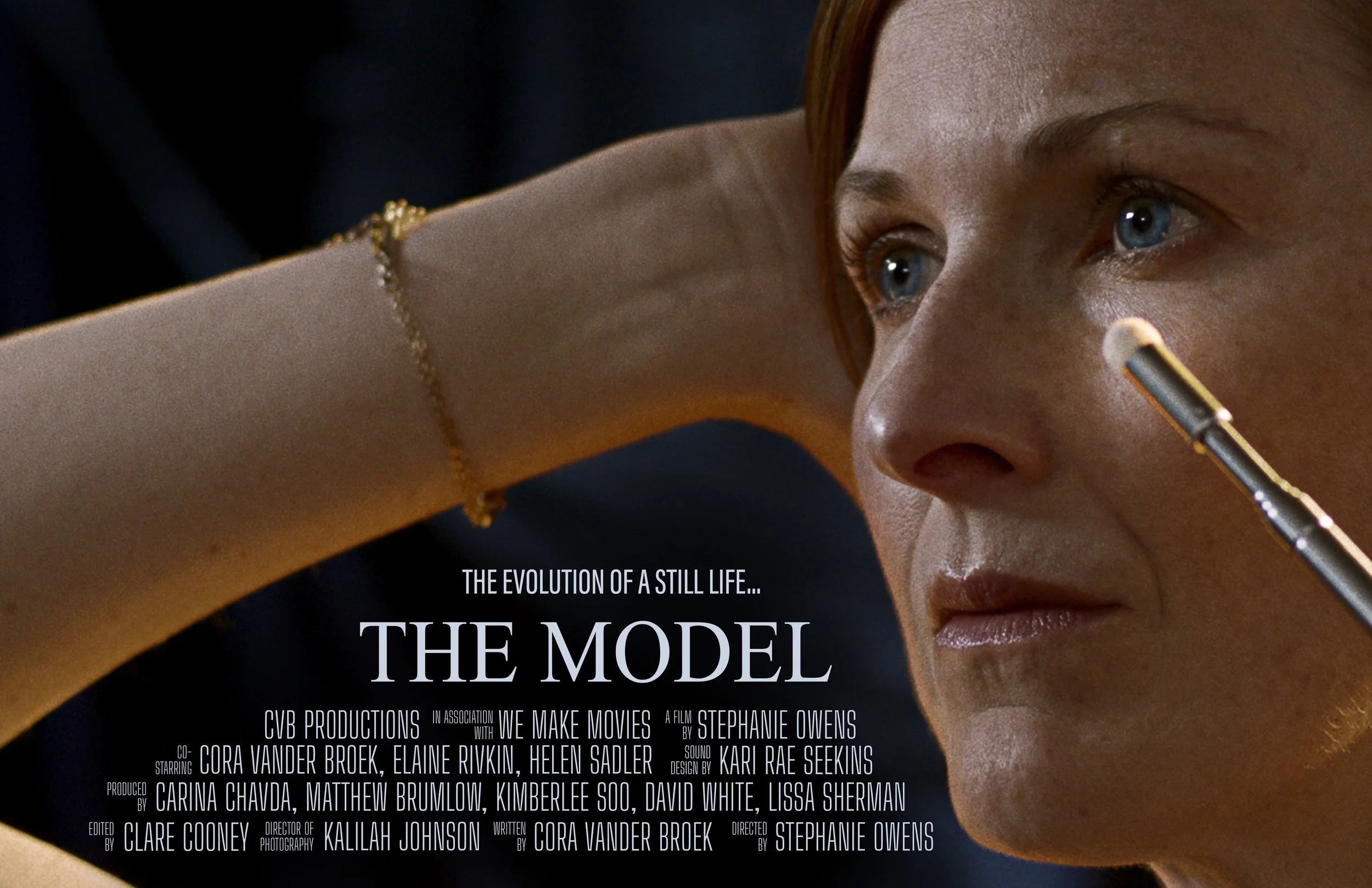 The Model 3 landscape.jpg