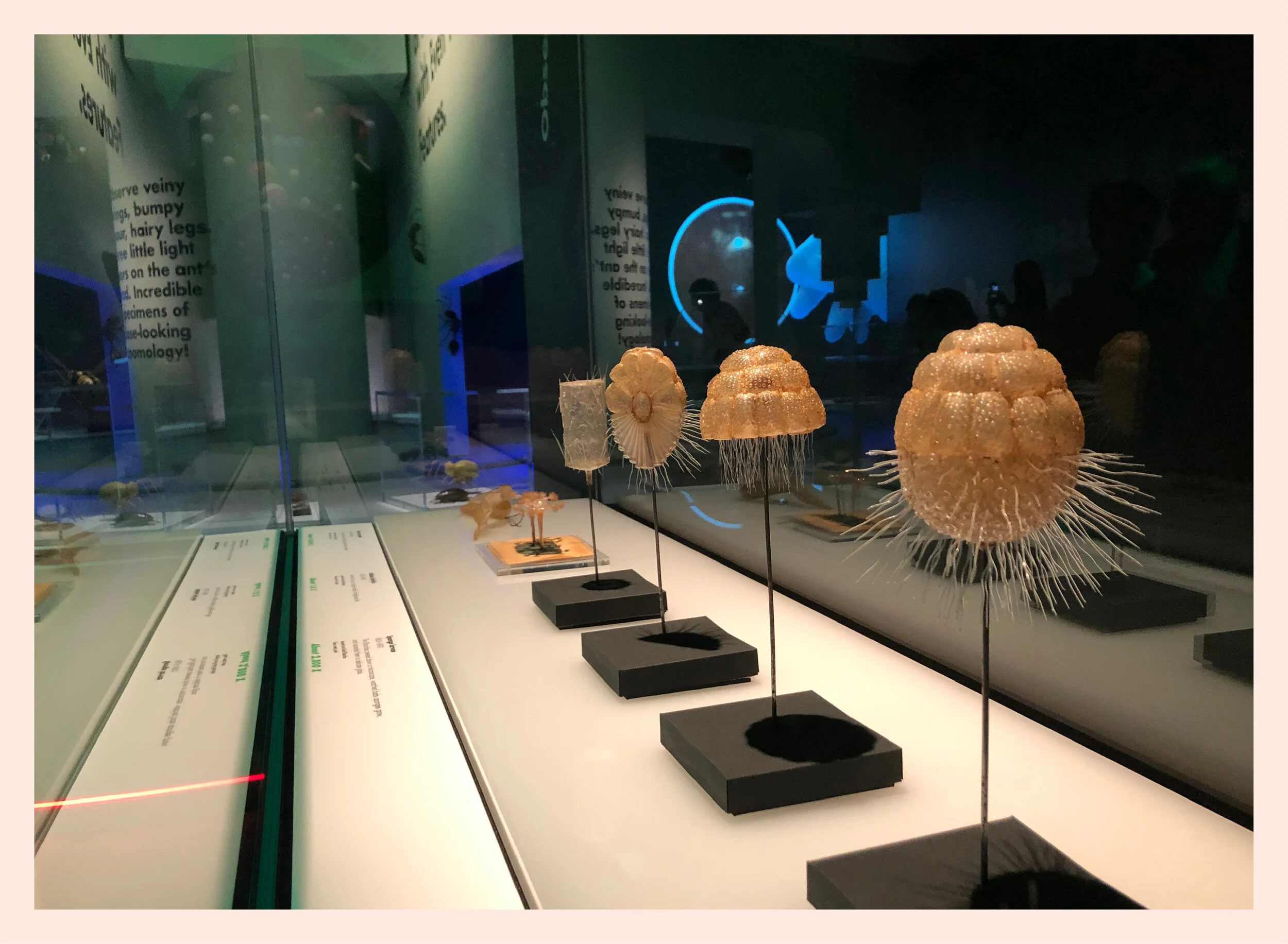 Studio Tweed design _20207.jpg