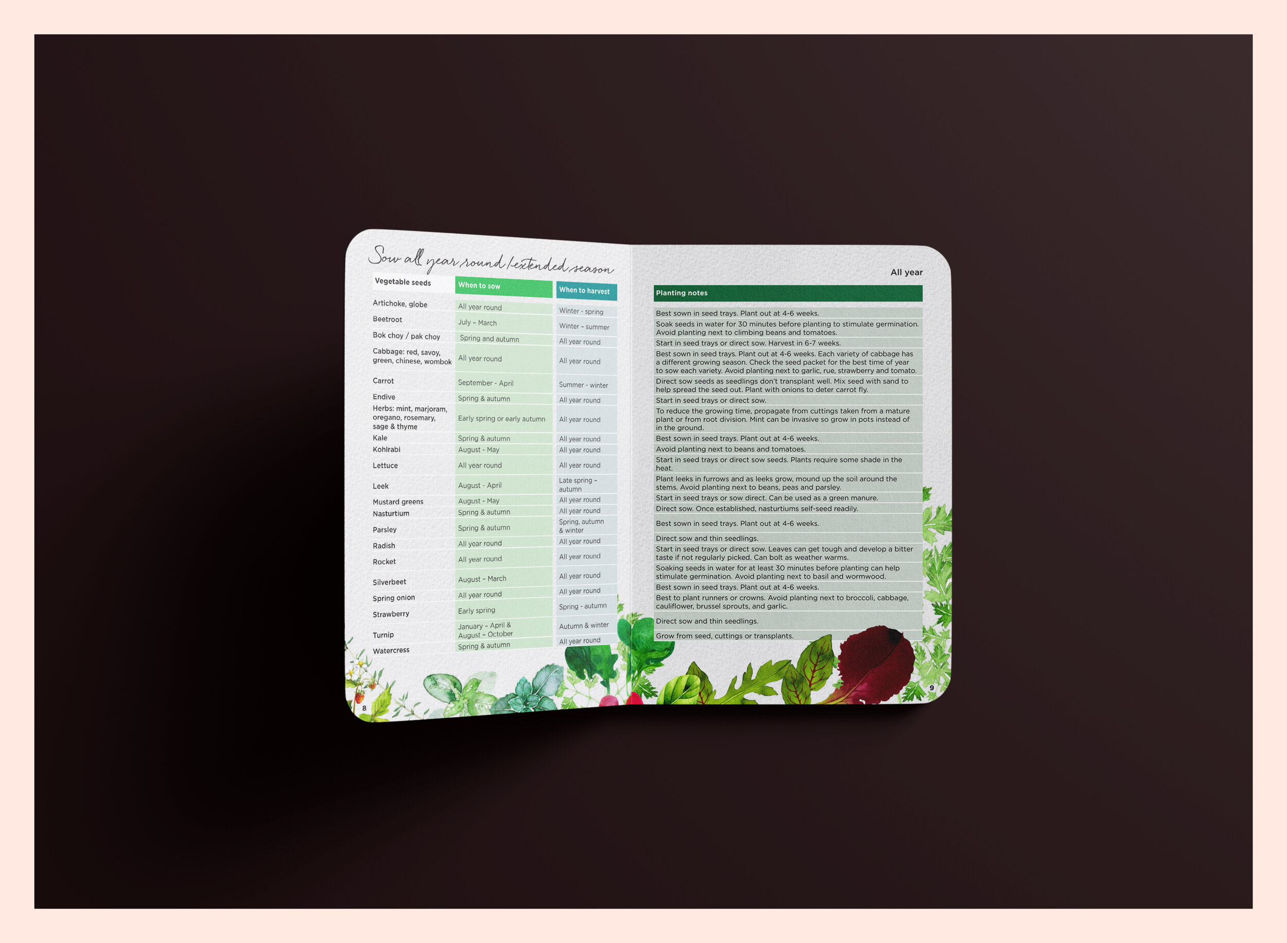 Studio Tweed design _Darebin Council 5.jpg