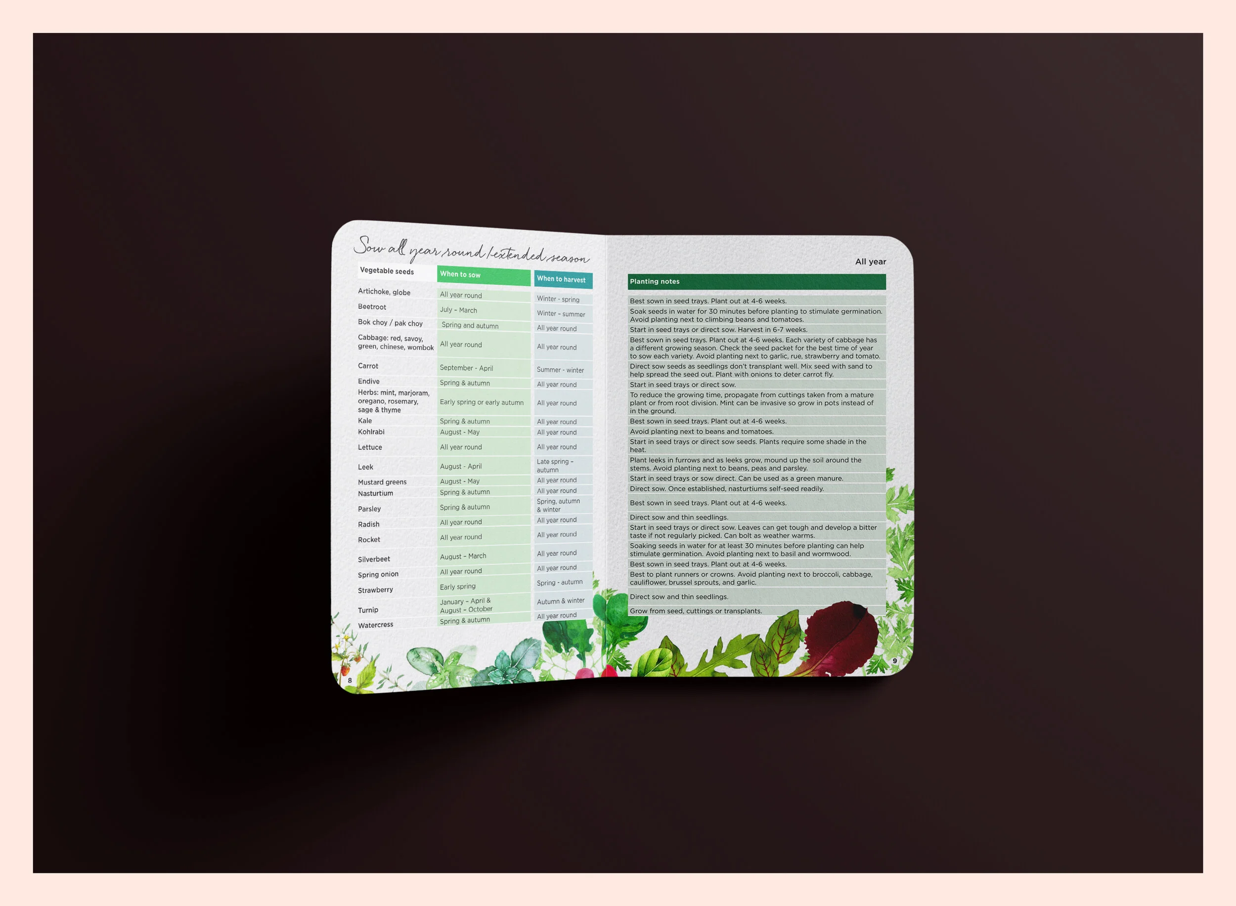 Studio Tweed design _Darebin Council 5.jpg