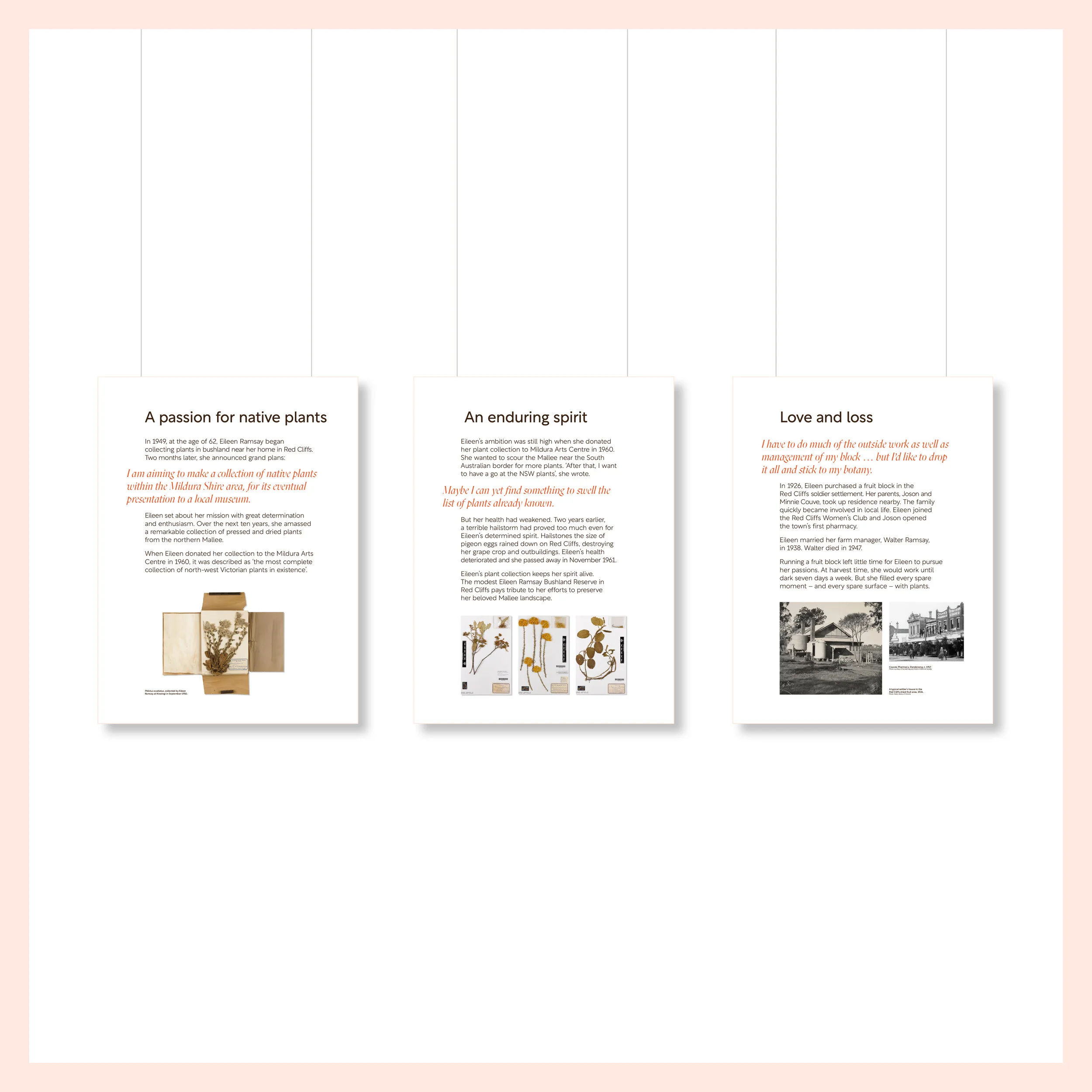 Studio Tweed design _20214.jpg