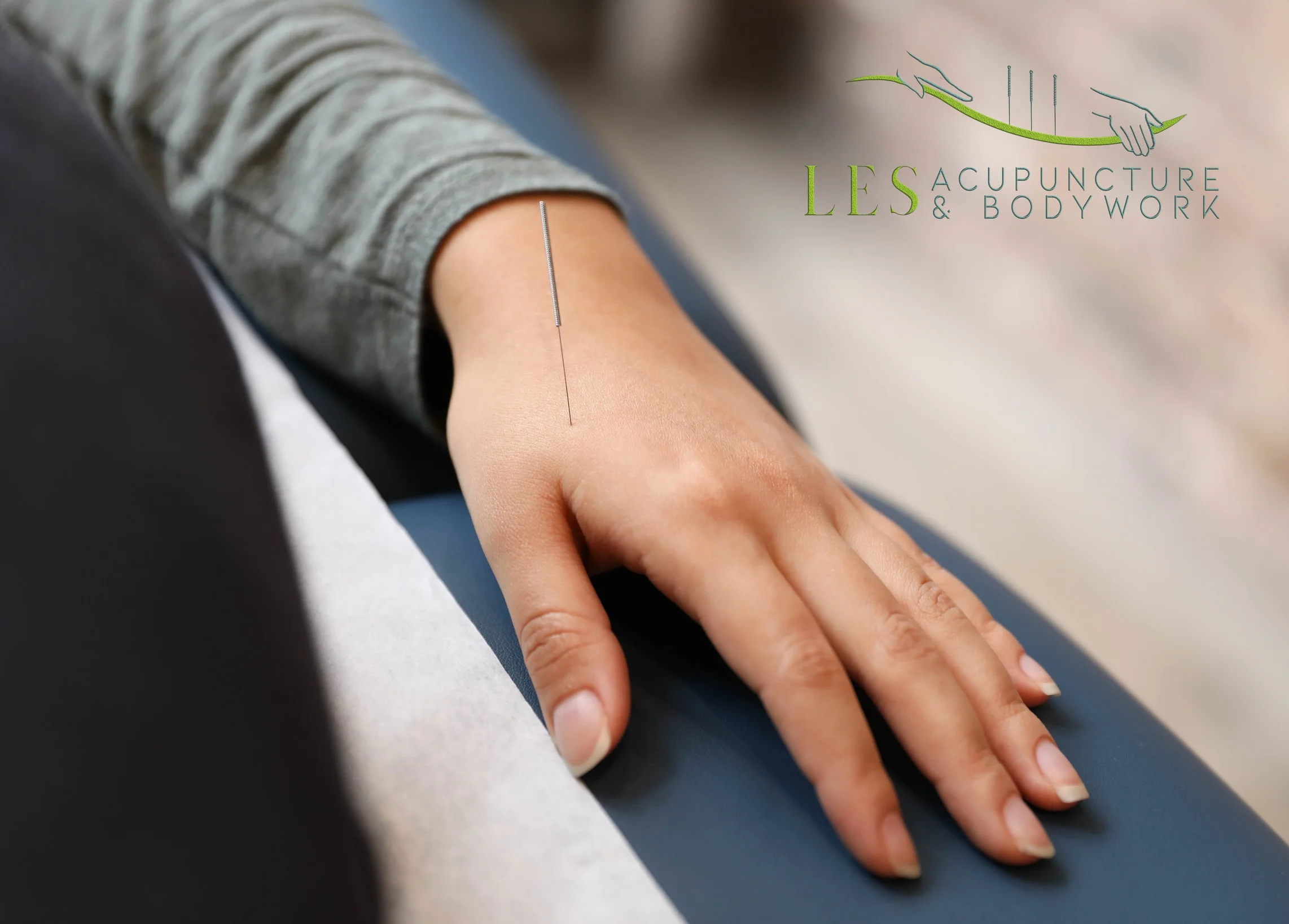 LES-6204logo.jpg