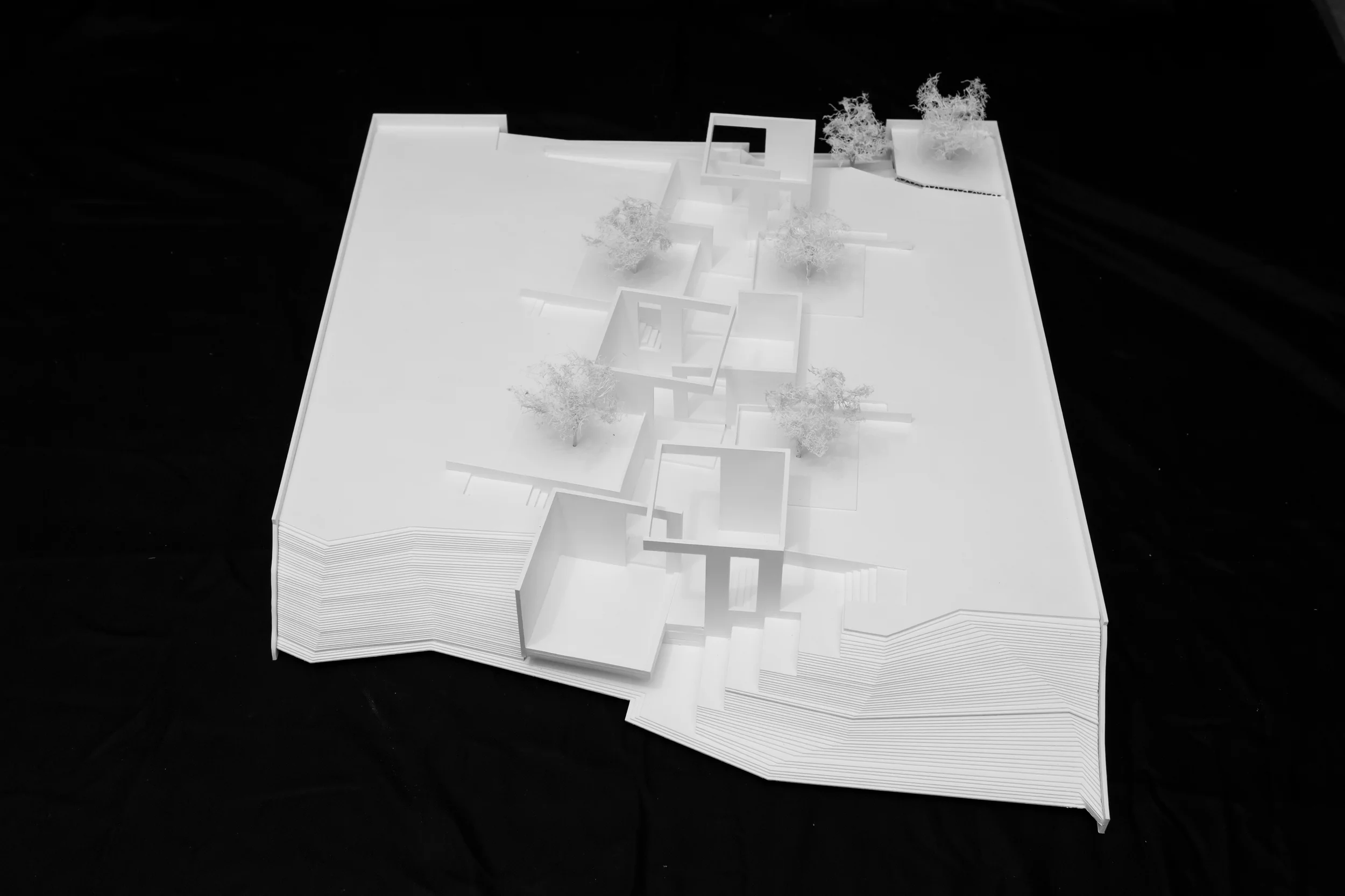 Models (23 of 78).jpg