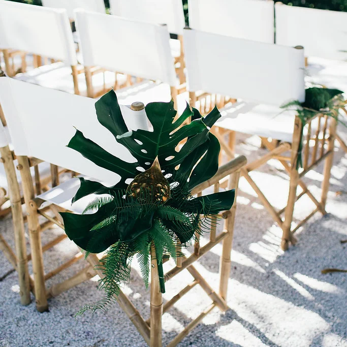Safari-Chairs-copy.jpg