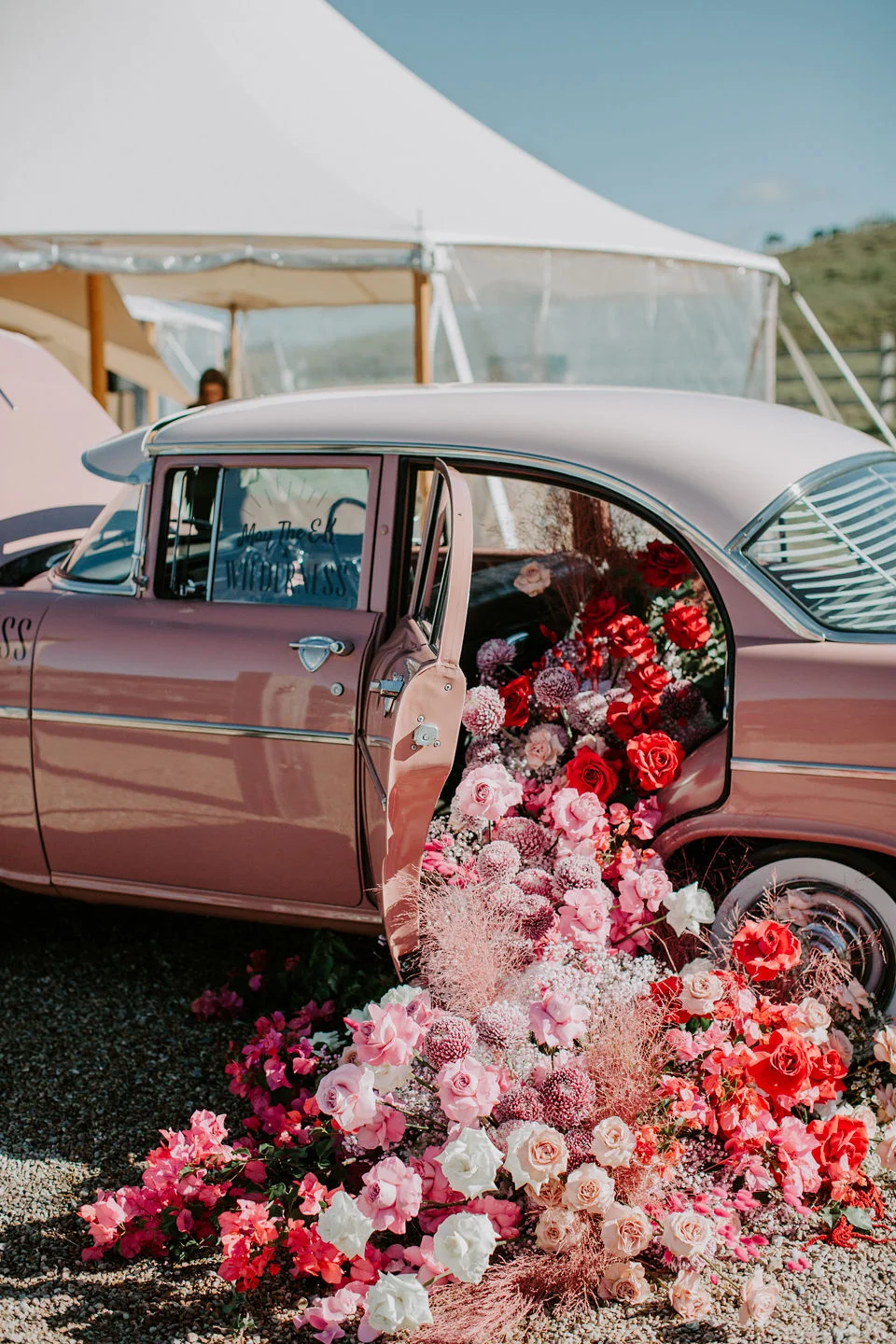 Beck Rocchi | Wilderness Flowers x May The E.K