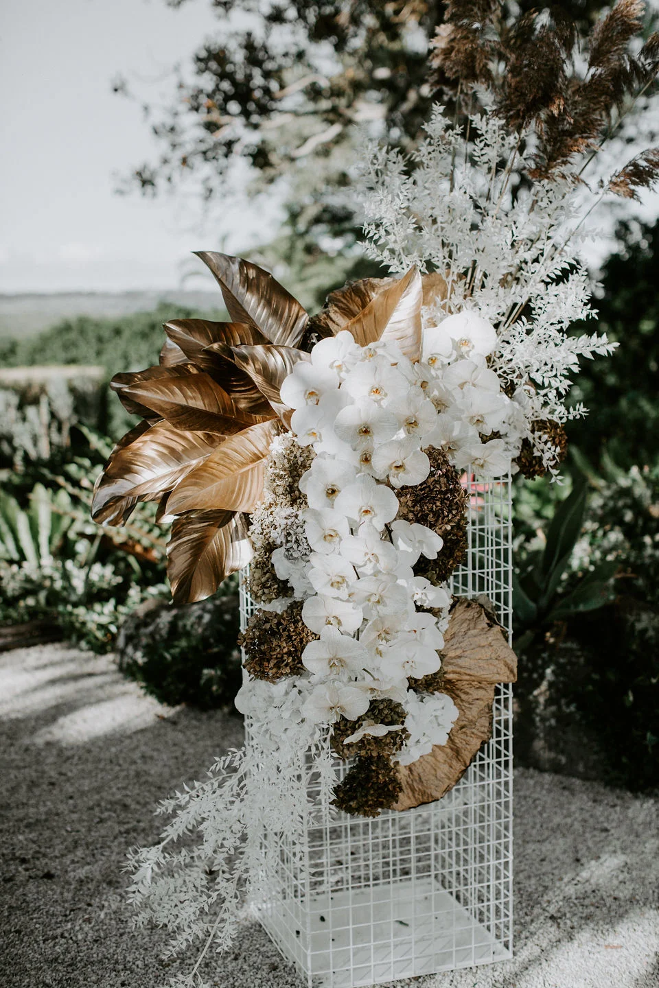 Beck Rocchi Photography | Wilderness Flowers I Featuring our new White Mesh Plinth