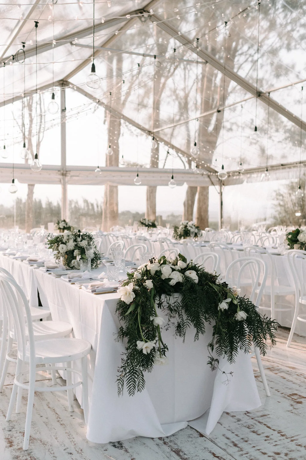 Lucas & Co Photography I The French Petal