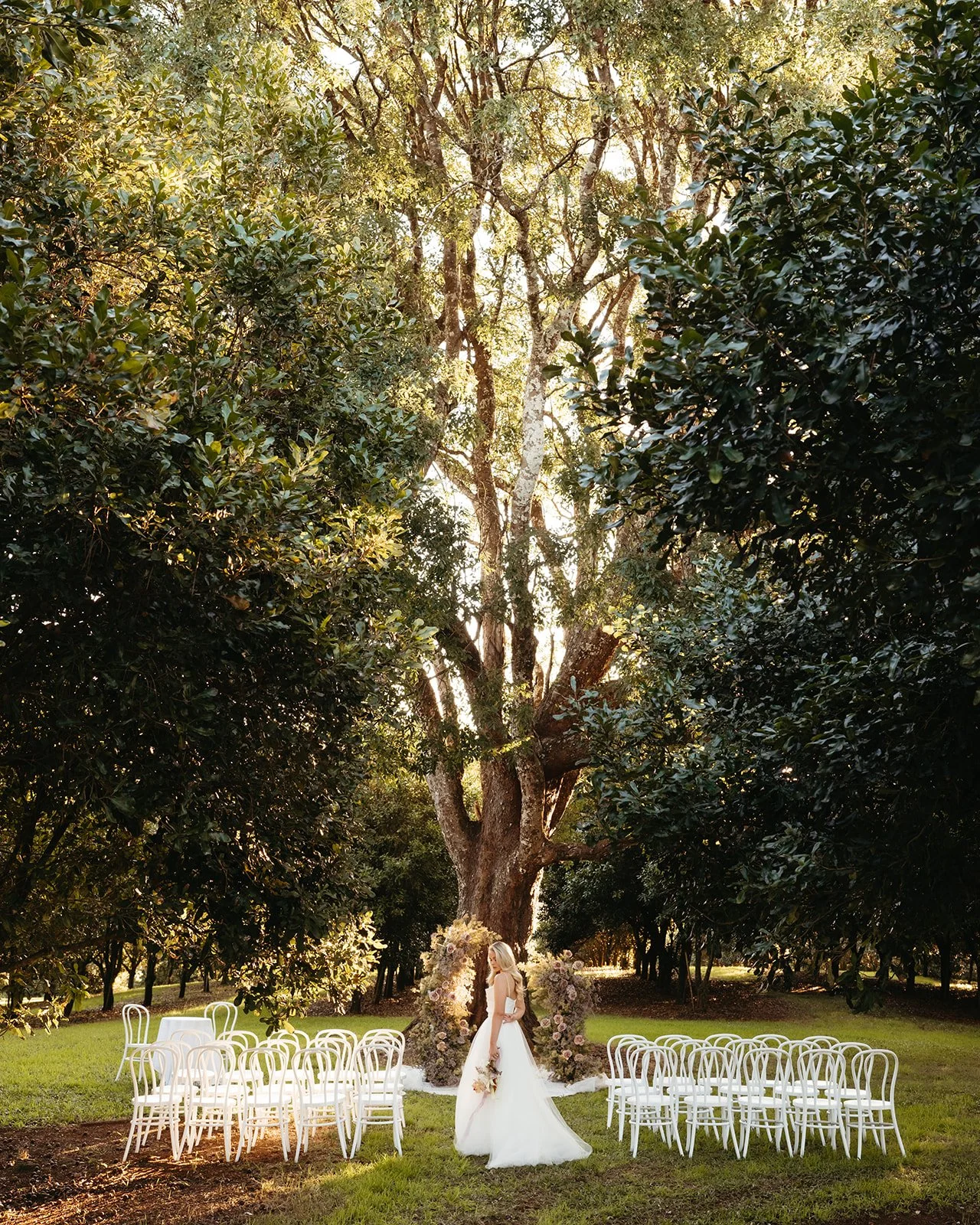 Ceremony Tree Laura.jpg