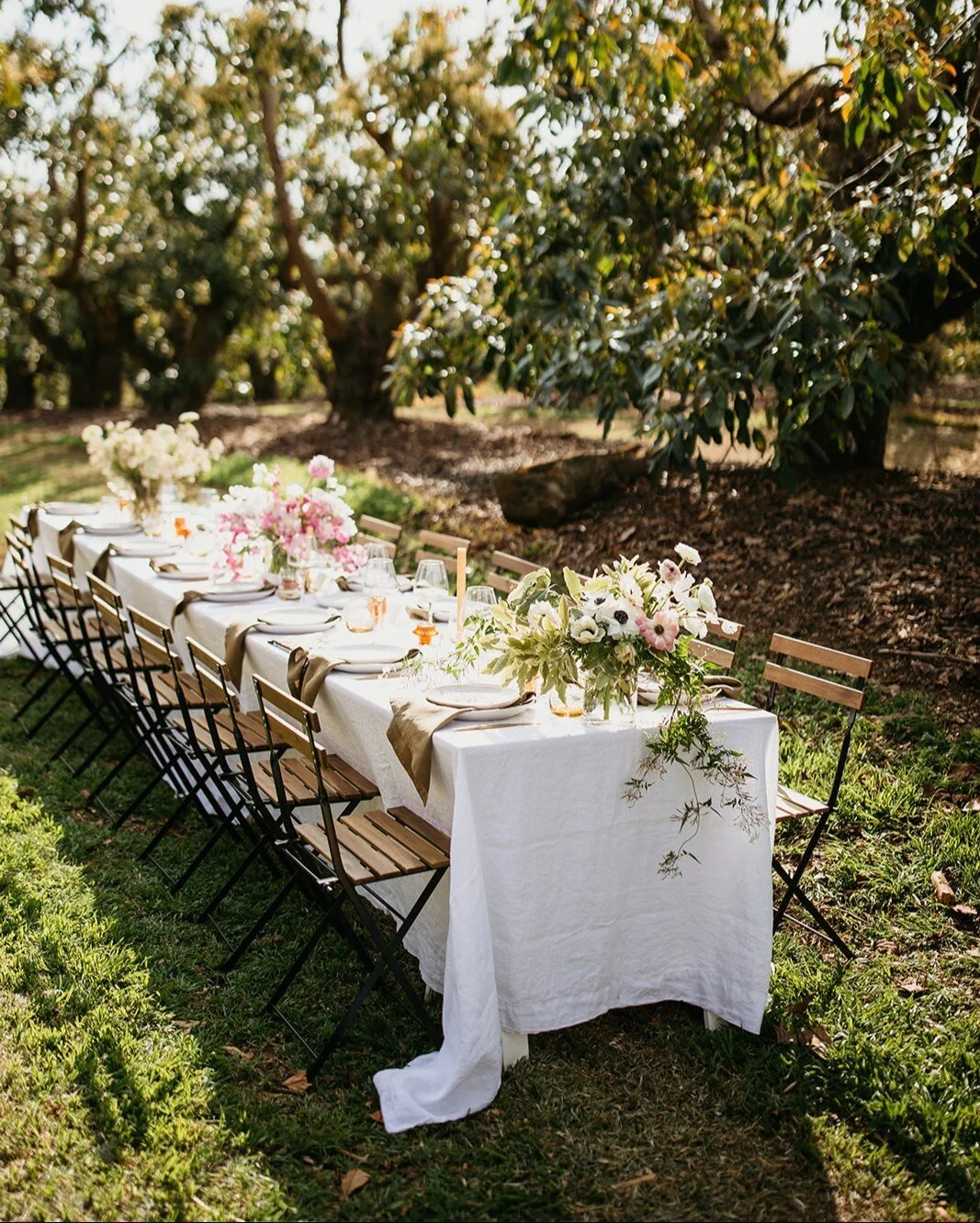 LIGHTING & DRAPING — THE WEDDING SHED | HIRE & STYLE