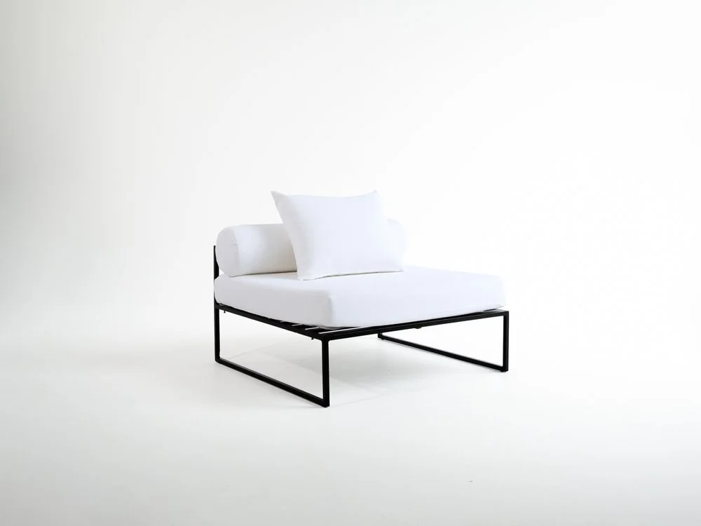 Everett Lounge Chair $150ea I Qty 2