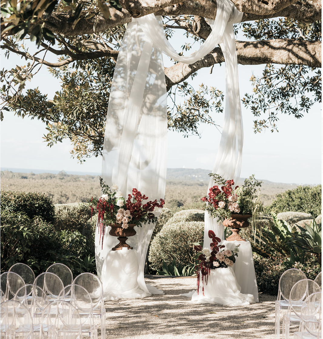 Fig Tree Draping Installation I $400