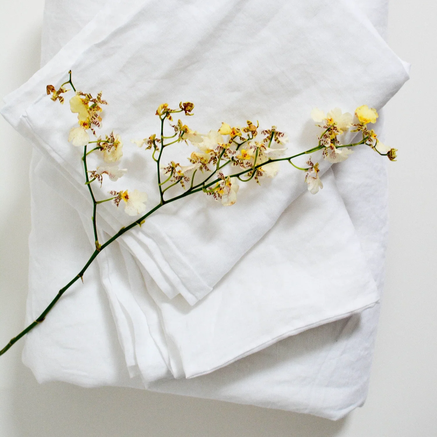 White French Linen Tablecloths | $115