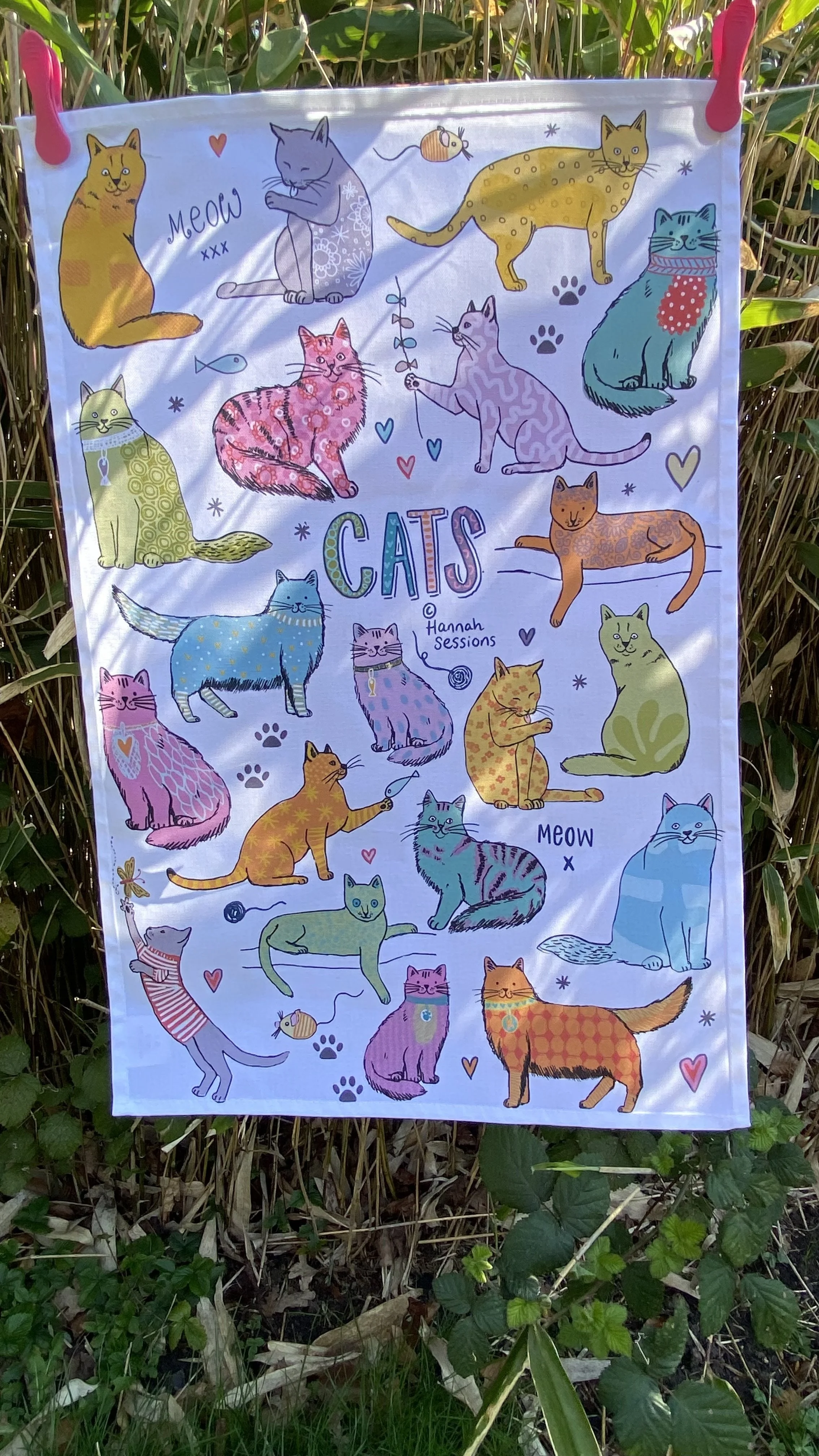 cats tt.jpg
