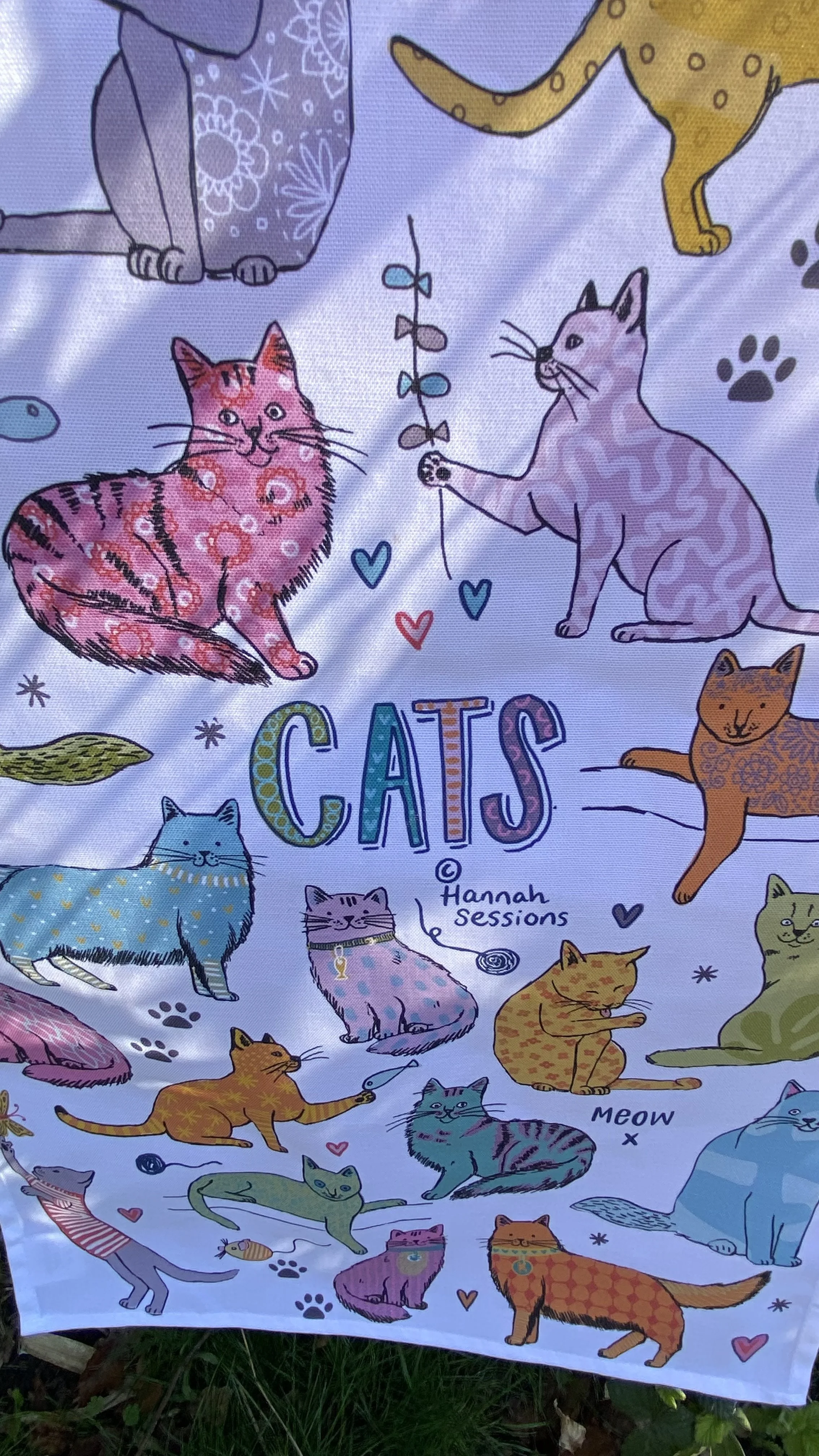 cats detail.jpg